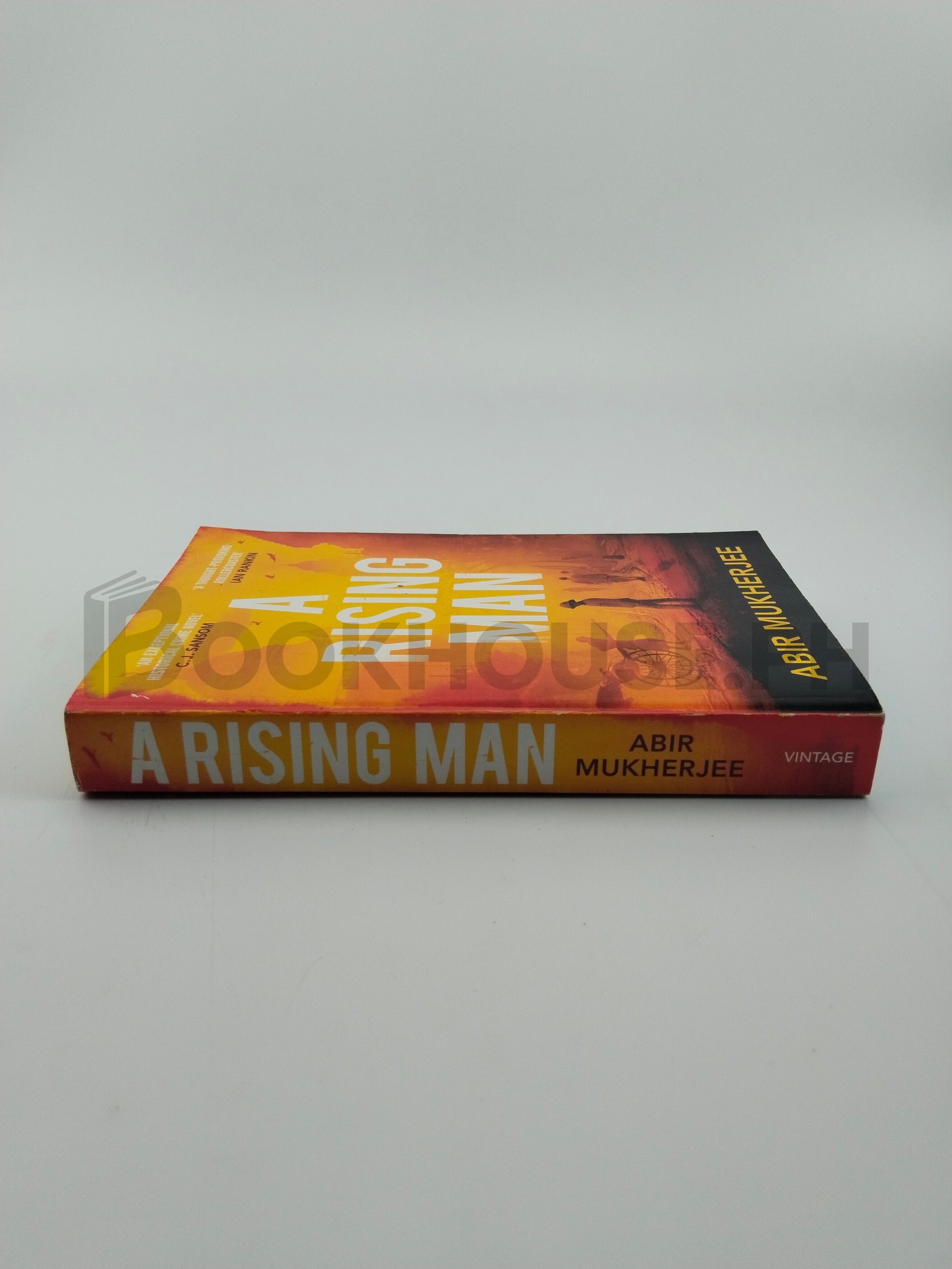 A Rising Man by Abir Mukherjee - Image 3