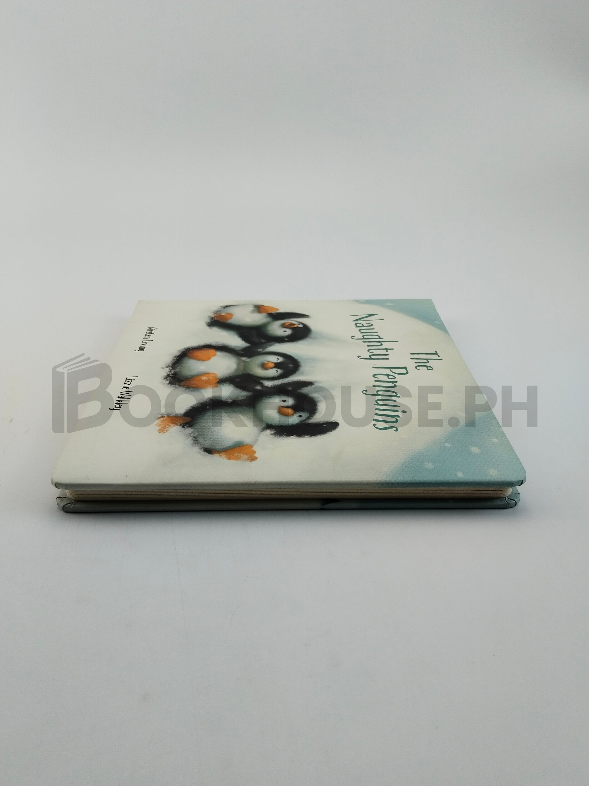 The Naughty Penguins by Kirsten Irving And Lizzie Walkley - Image 4