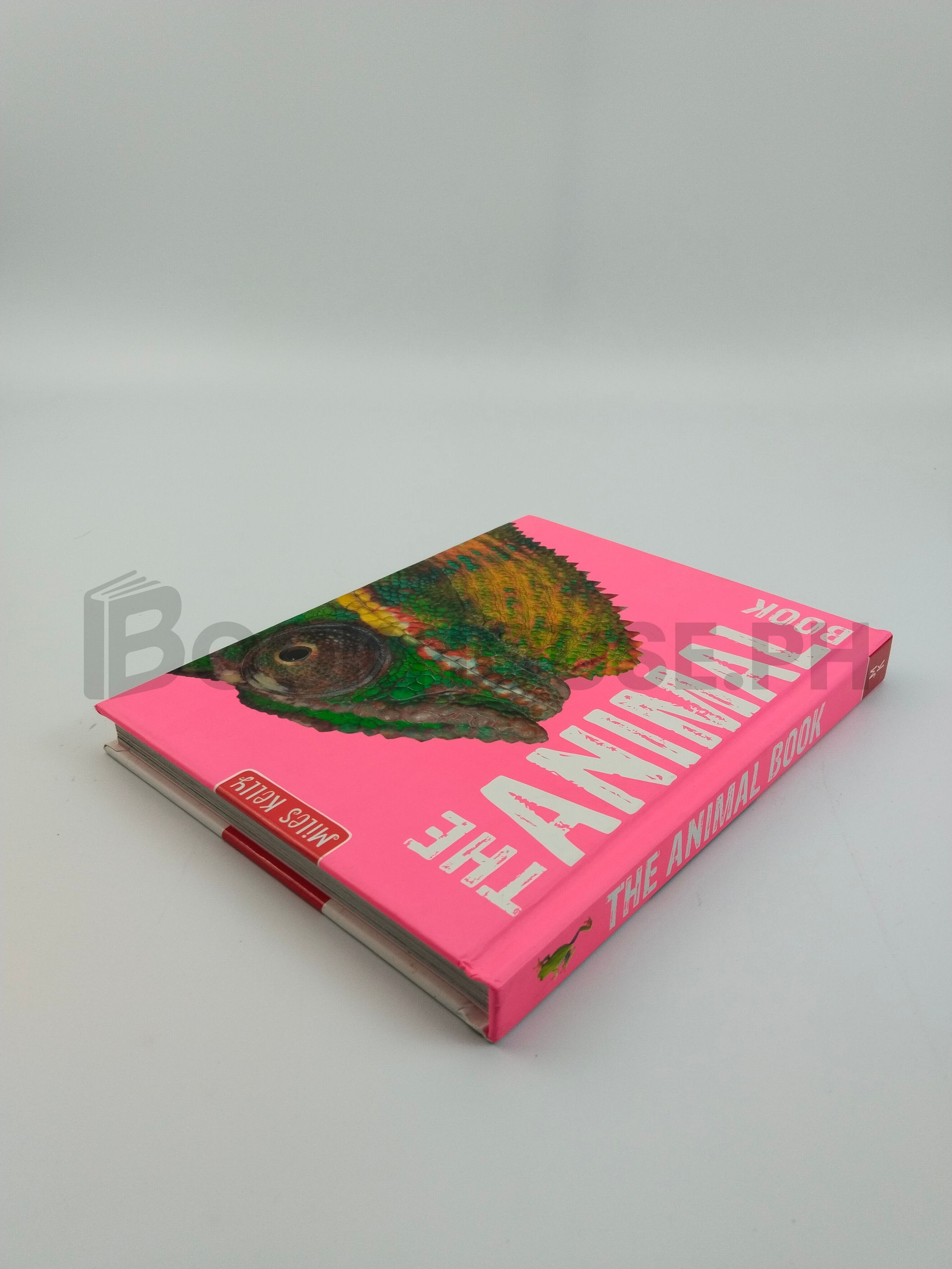 The Animal Book by Camilla De La Bédoyère, Steve Parker, John Farndon - Image 2