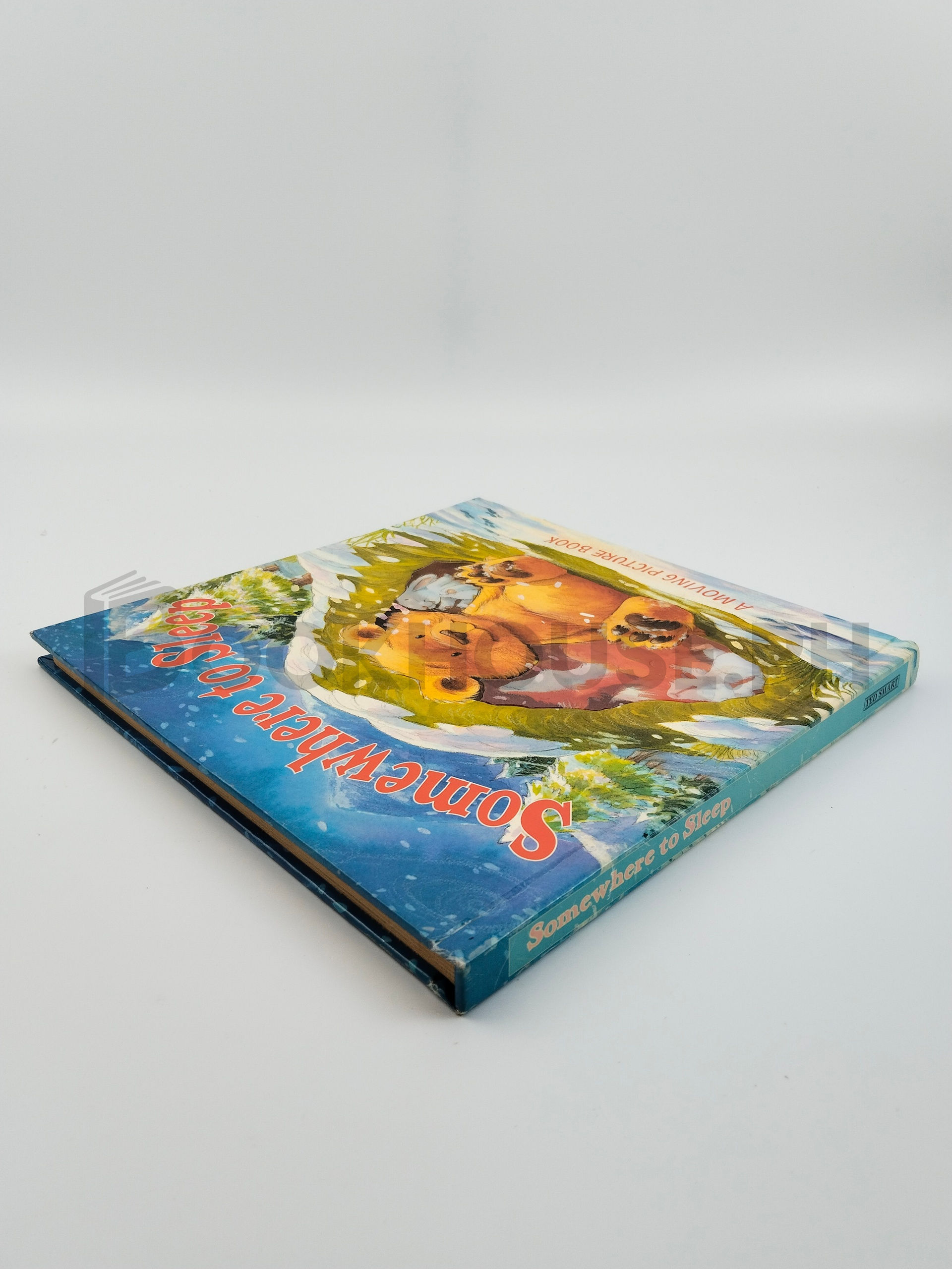 Somewhere To Sleep by Ted Smart - Image 2