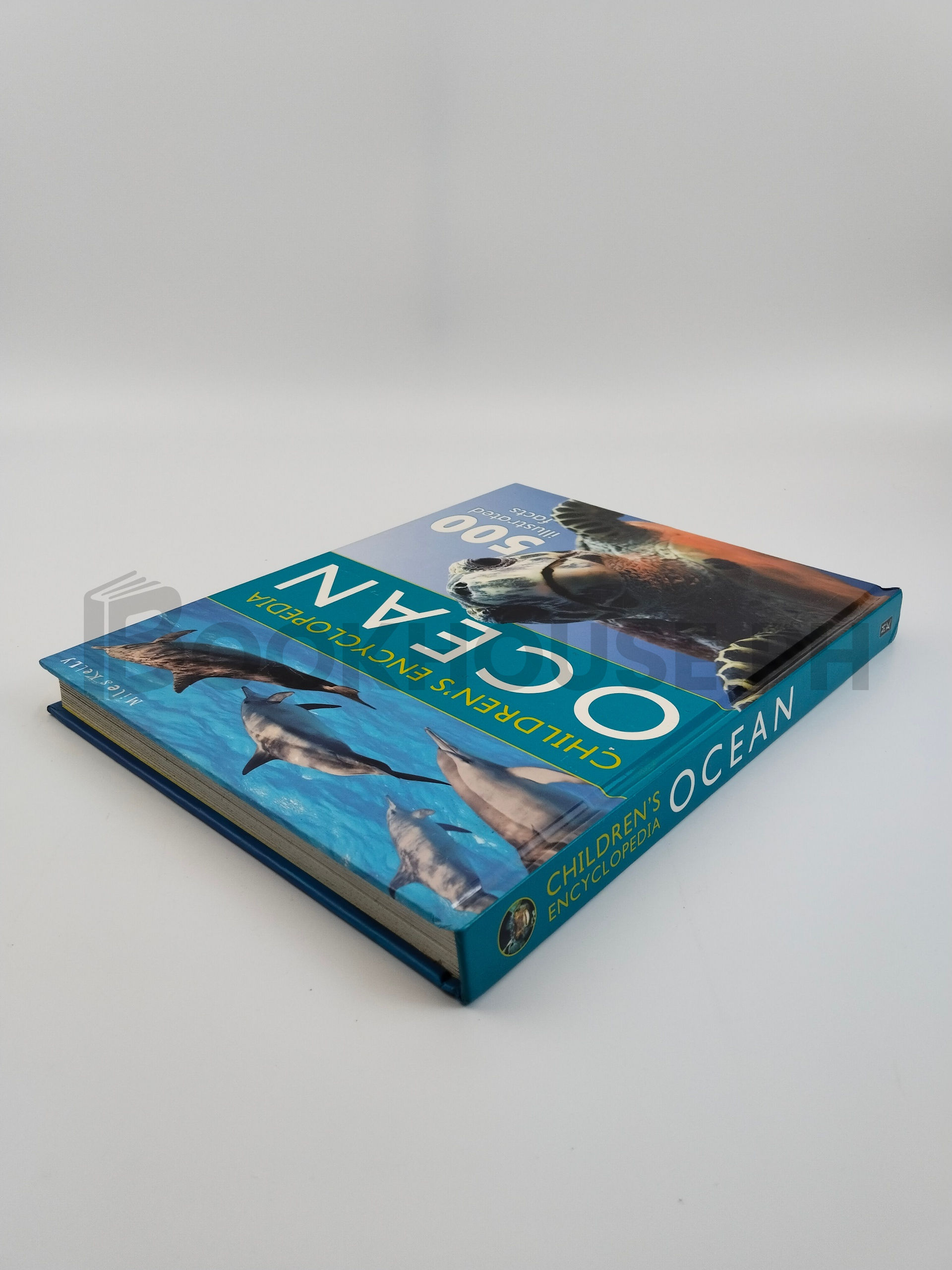 Children's Encyclopedia - Ocean by Belinda Gallagher - Image 2