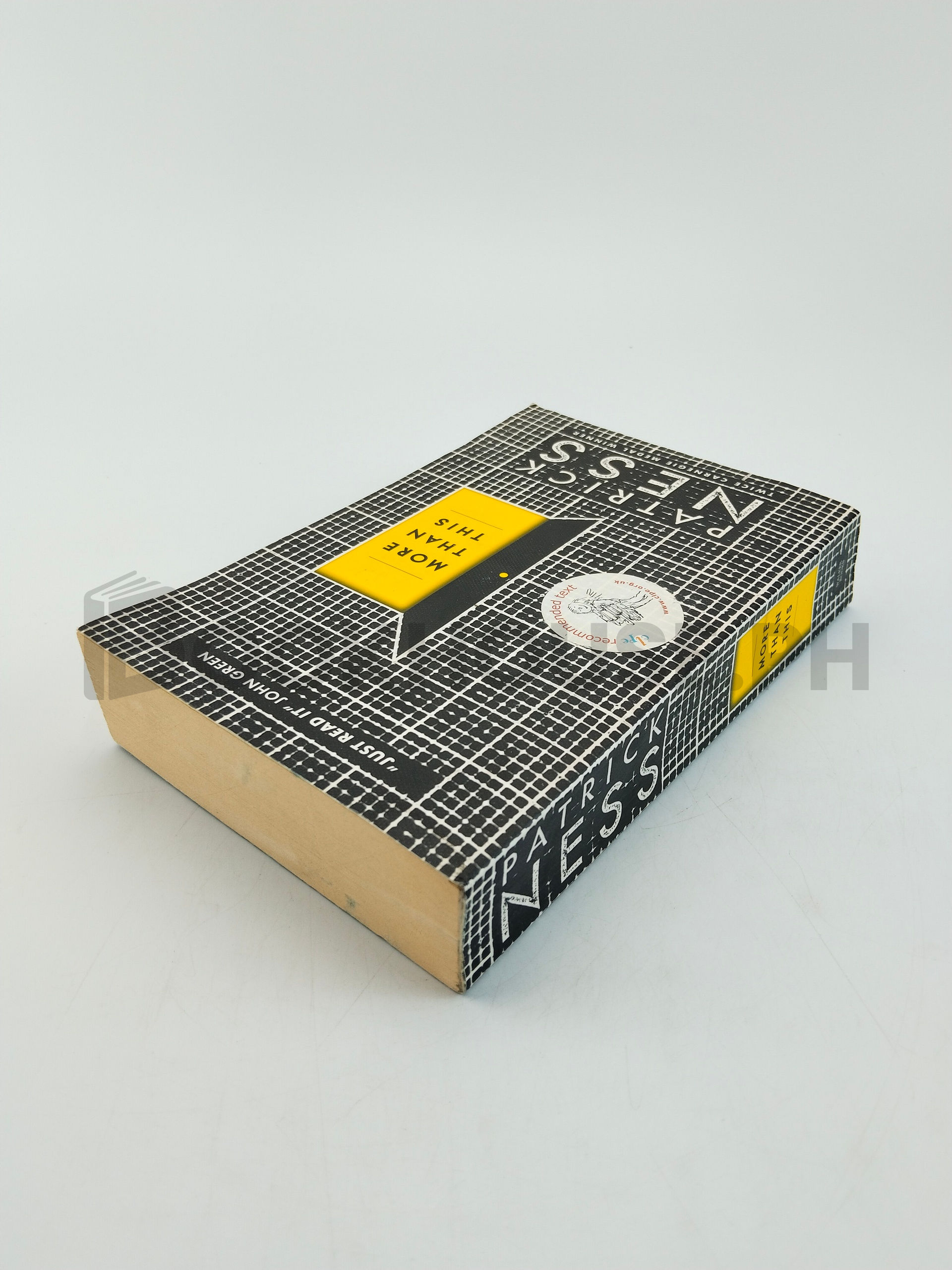 More Than This by Patrick Ness - Image 2