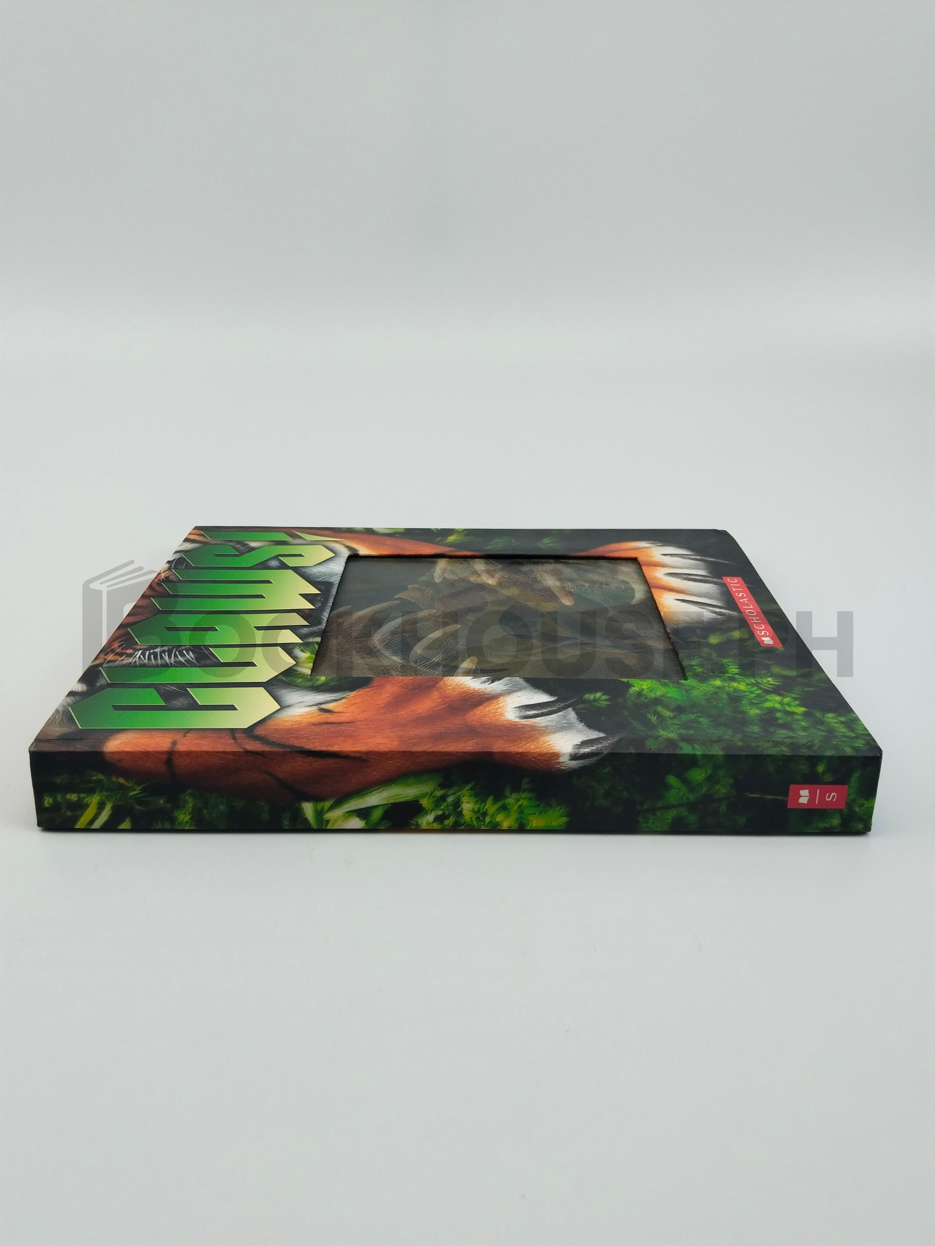 Claws! by Tammi J. Salzano - Image 3