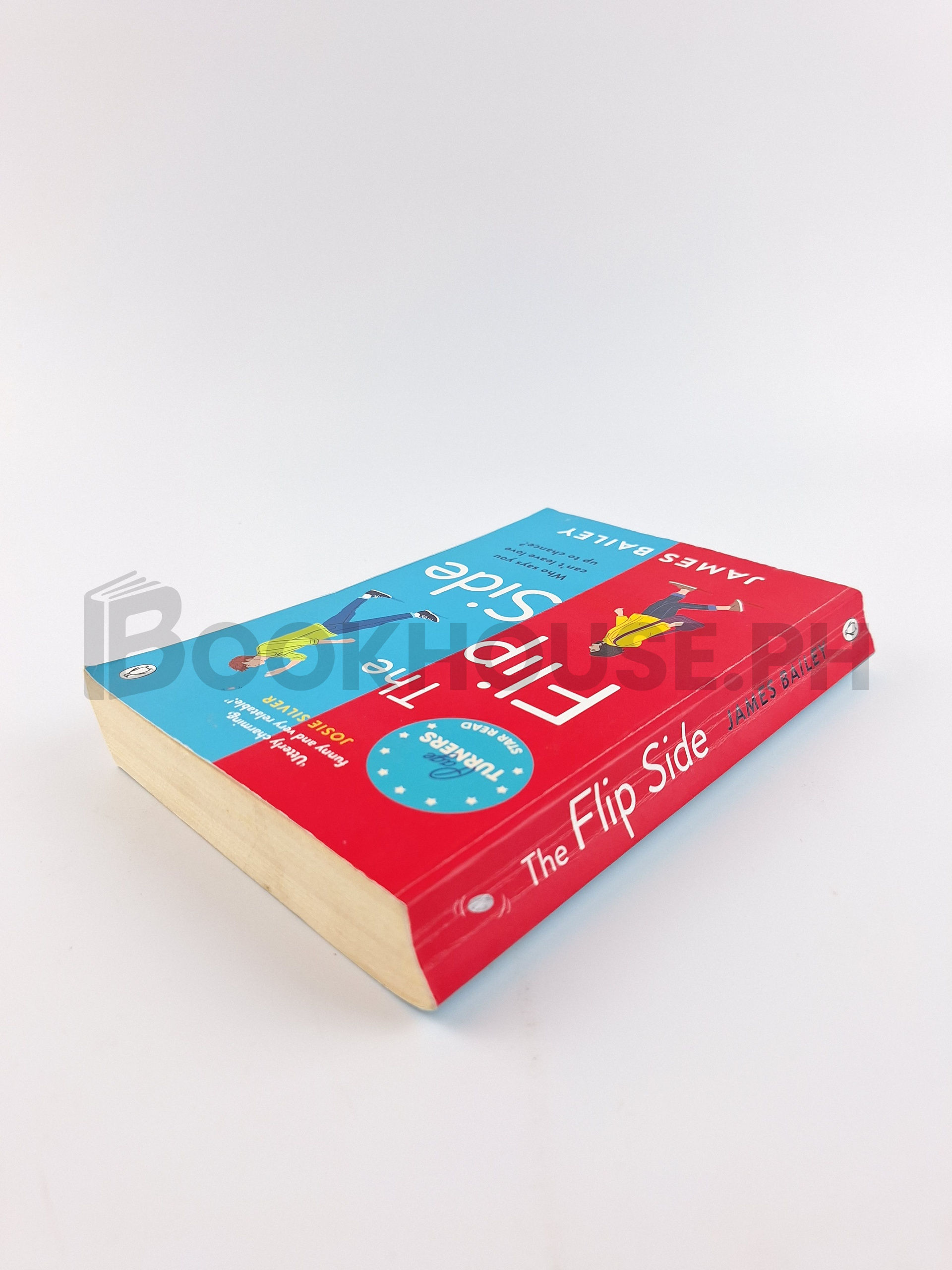 The Flip Side by James Bailey - Image 2