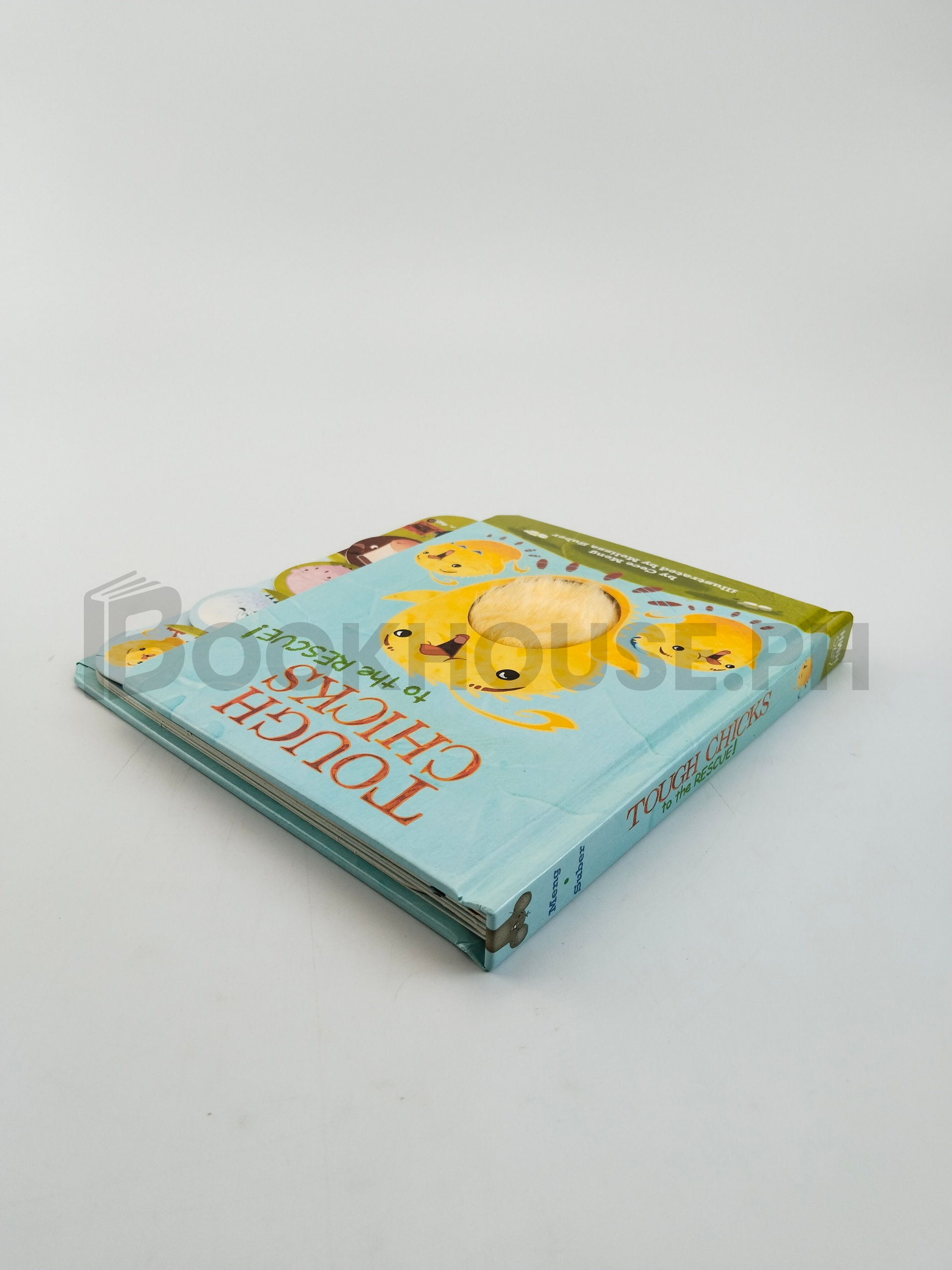 Tough Chicks To The Rescue! Tabbed Touch-and-feel by Cece Meng - Image 2