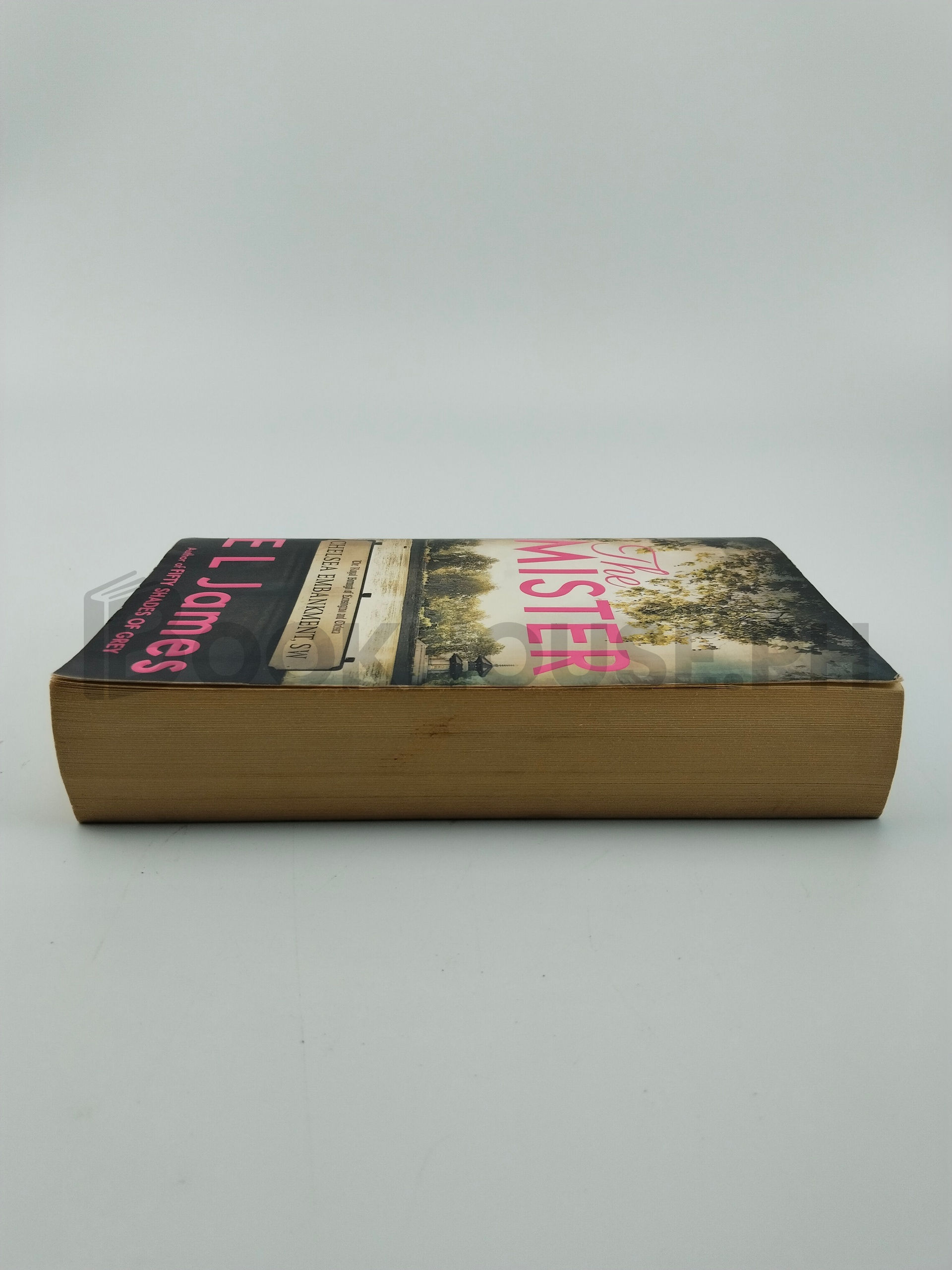 The Mister by E. L. James - Image 4