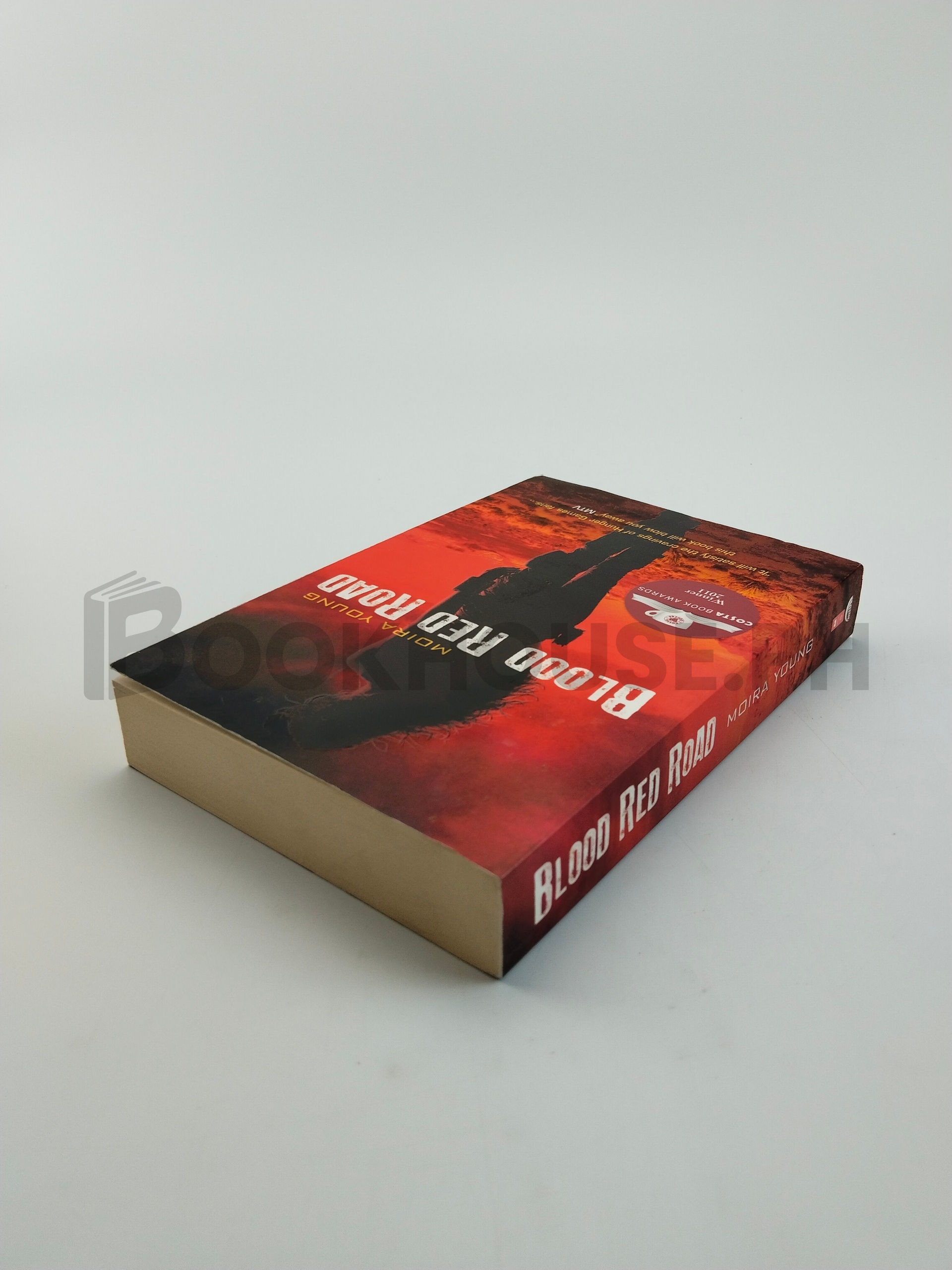 Blood Red Road by Moira Young - Image 2