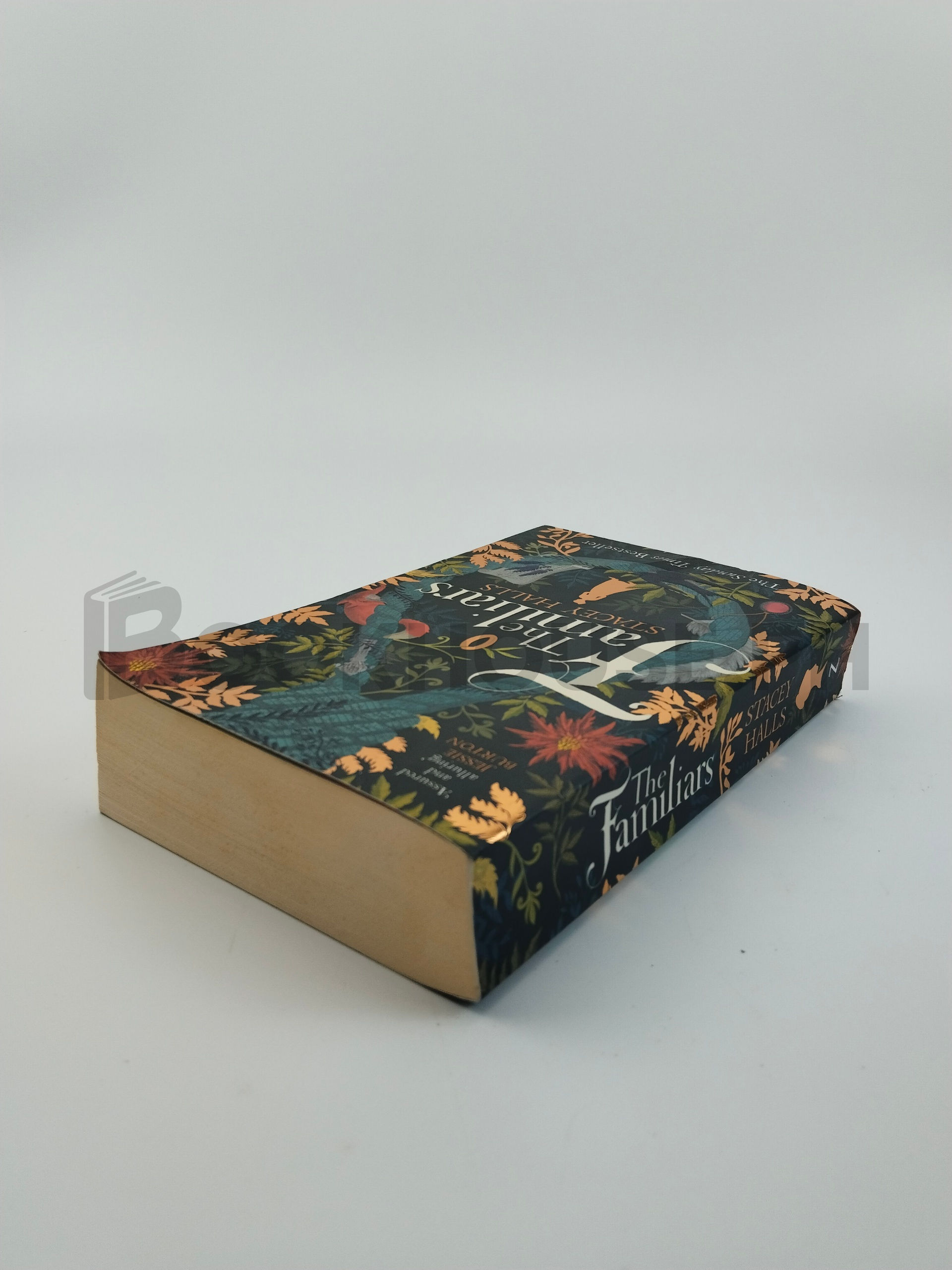 The Familiars by Stacey Halls - Image 2