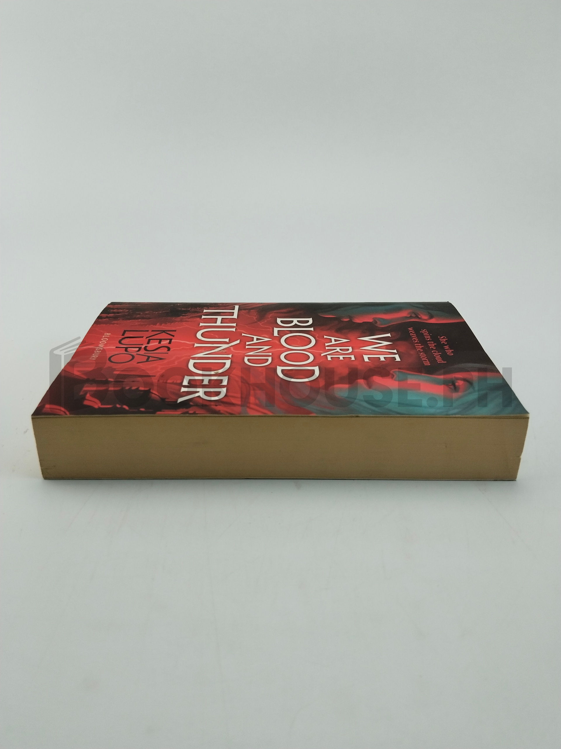 We Are Blood And Thunder by Kesia Lupo - Image 4