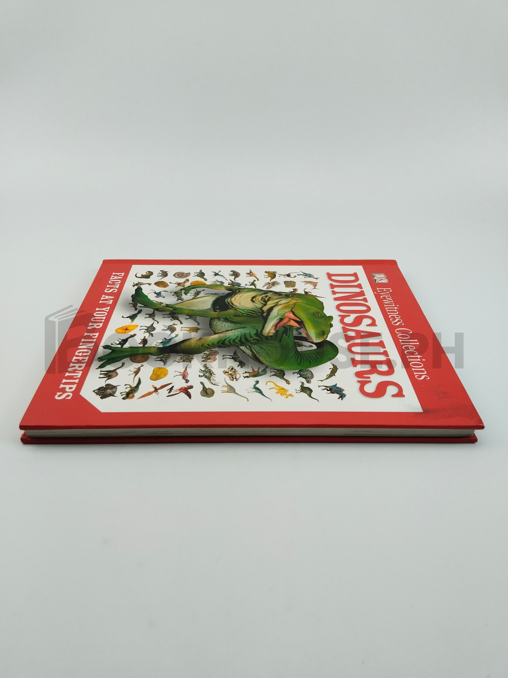 Dinosaurs by Dk - Image 4