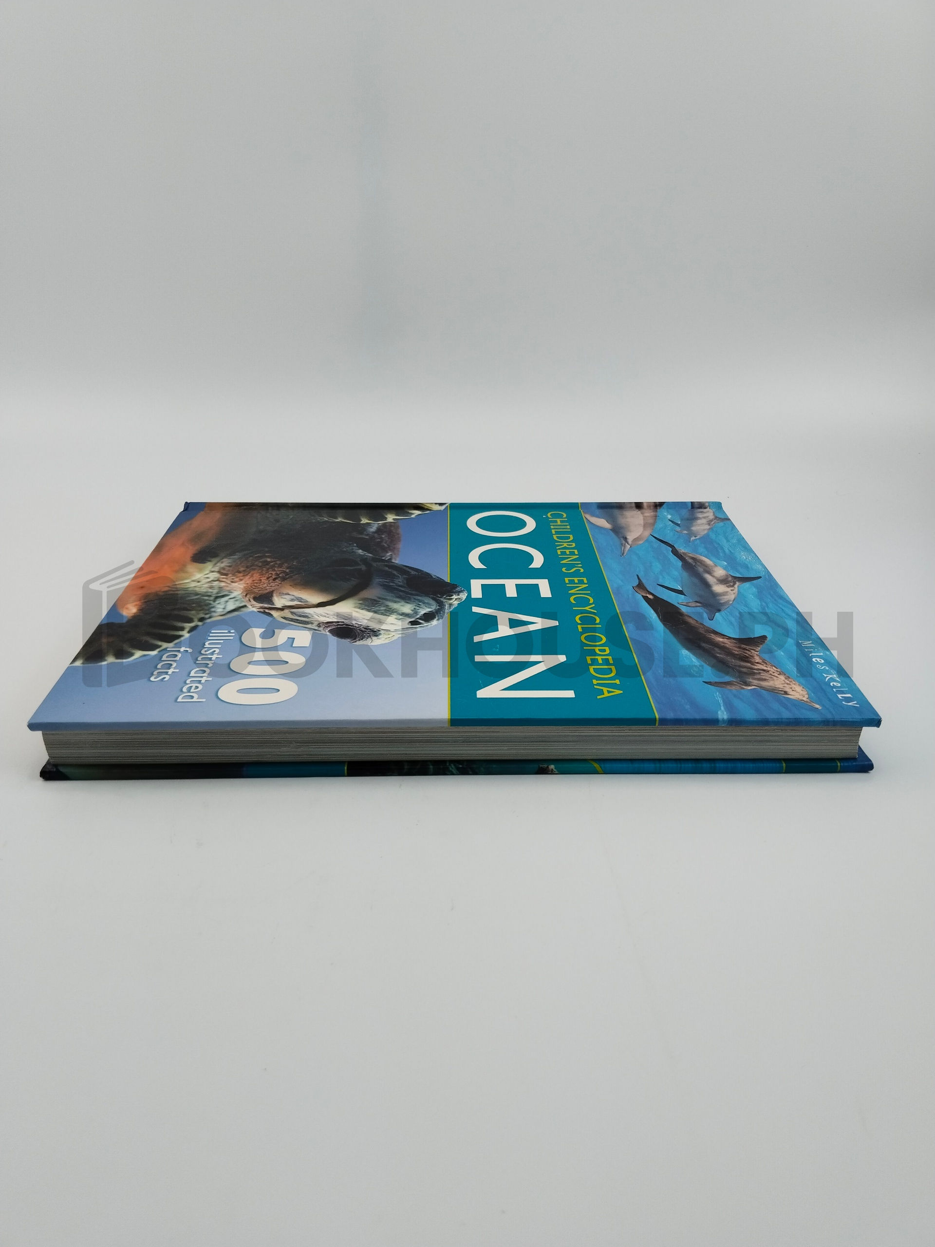 Children's Encyclopedia - Ocean by Belinda Gallagher - Image 4