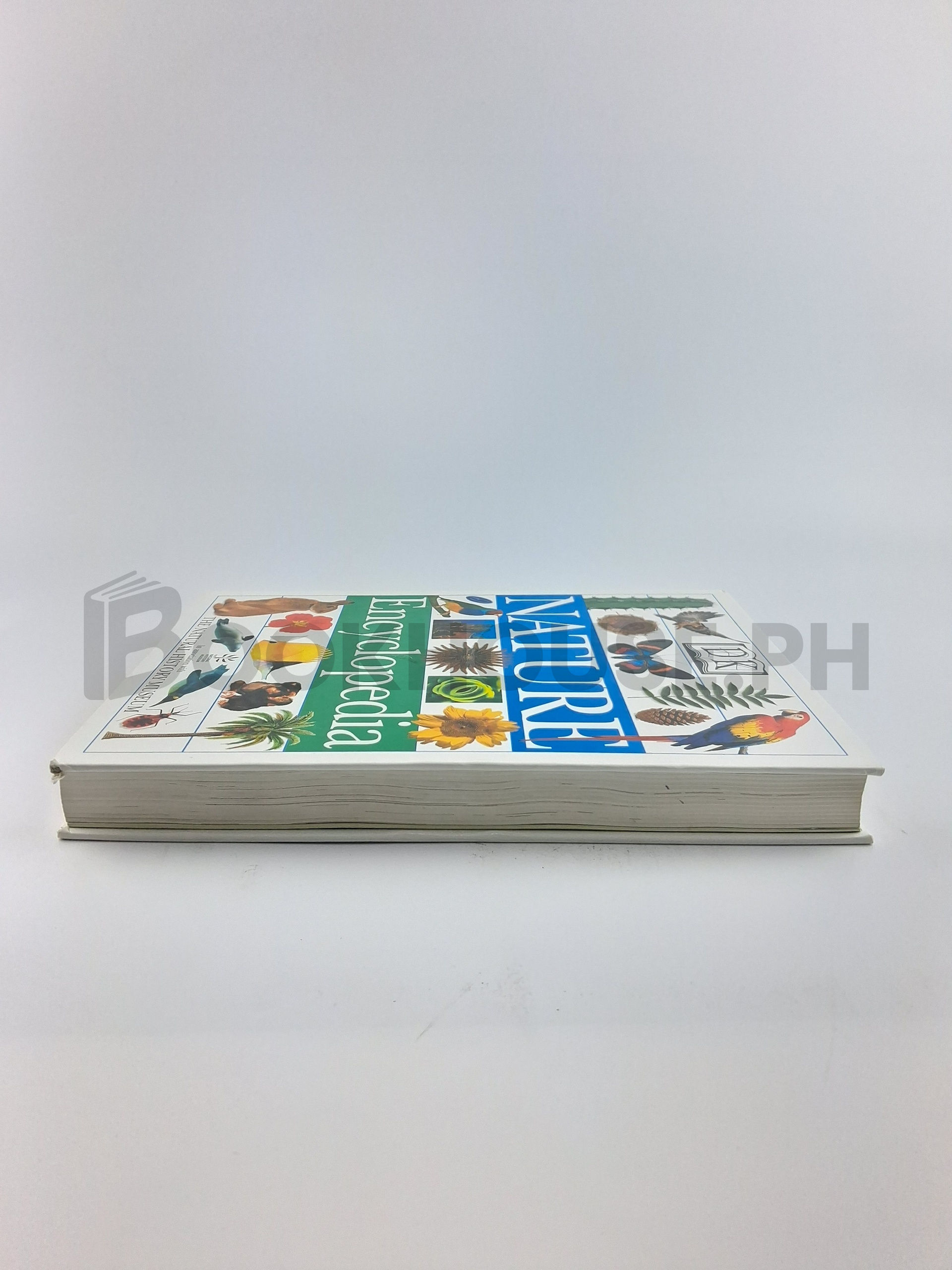 Nature Encyclopedia by Dorling Kindersley - Image 4