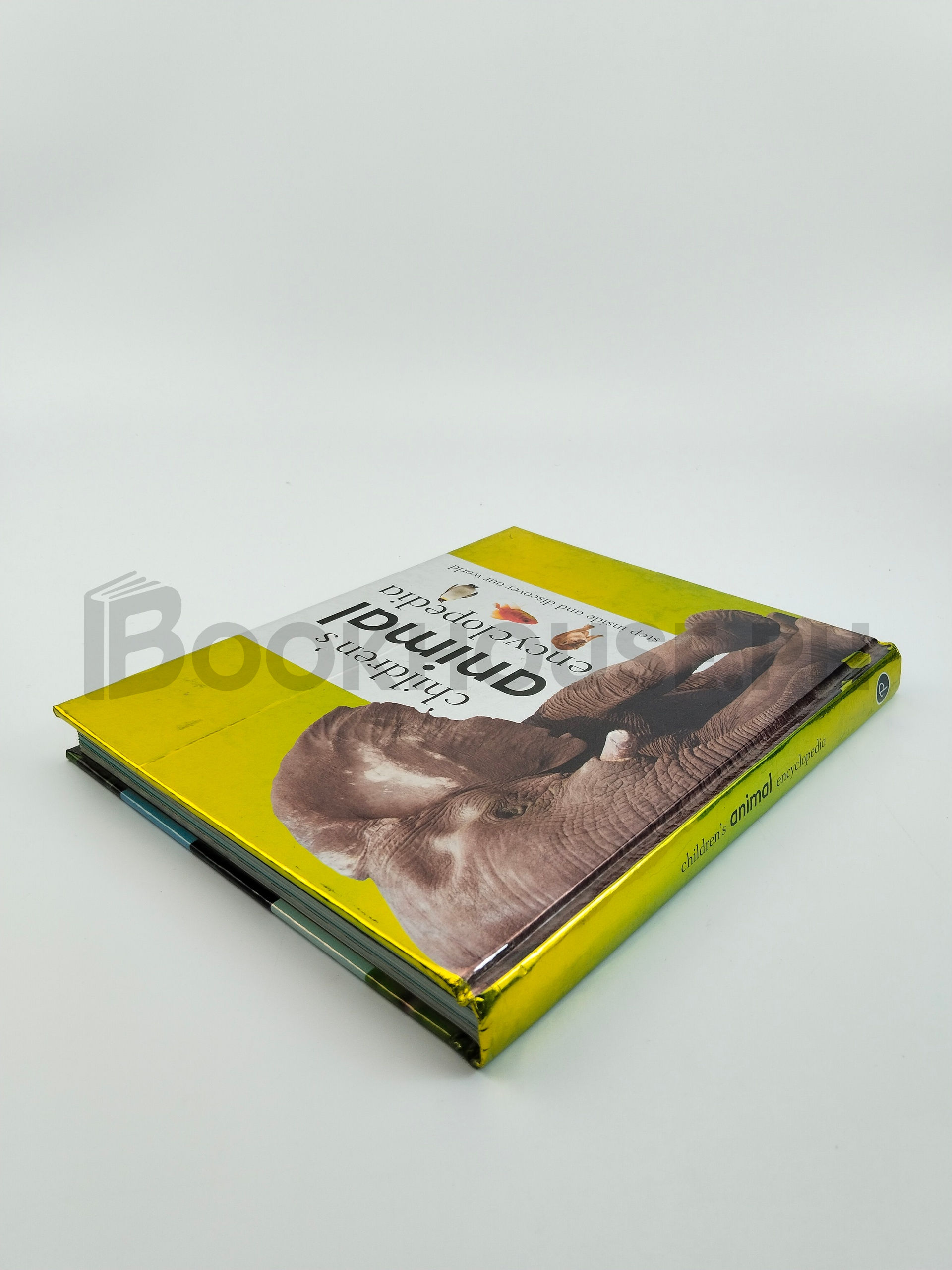 Children's Animal Encyclopedia by Parragon - Image 2