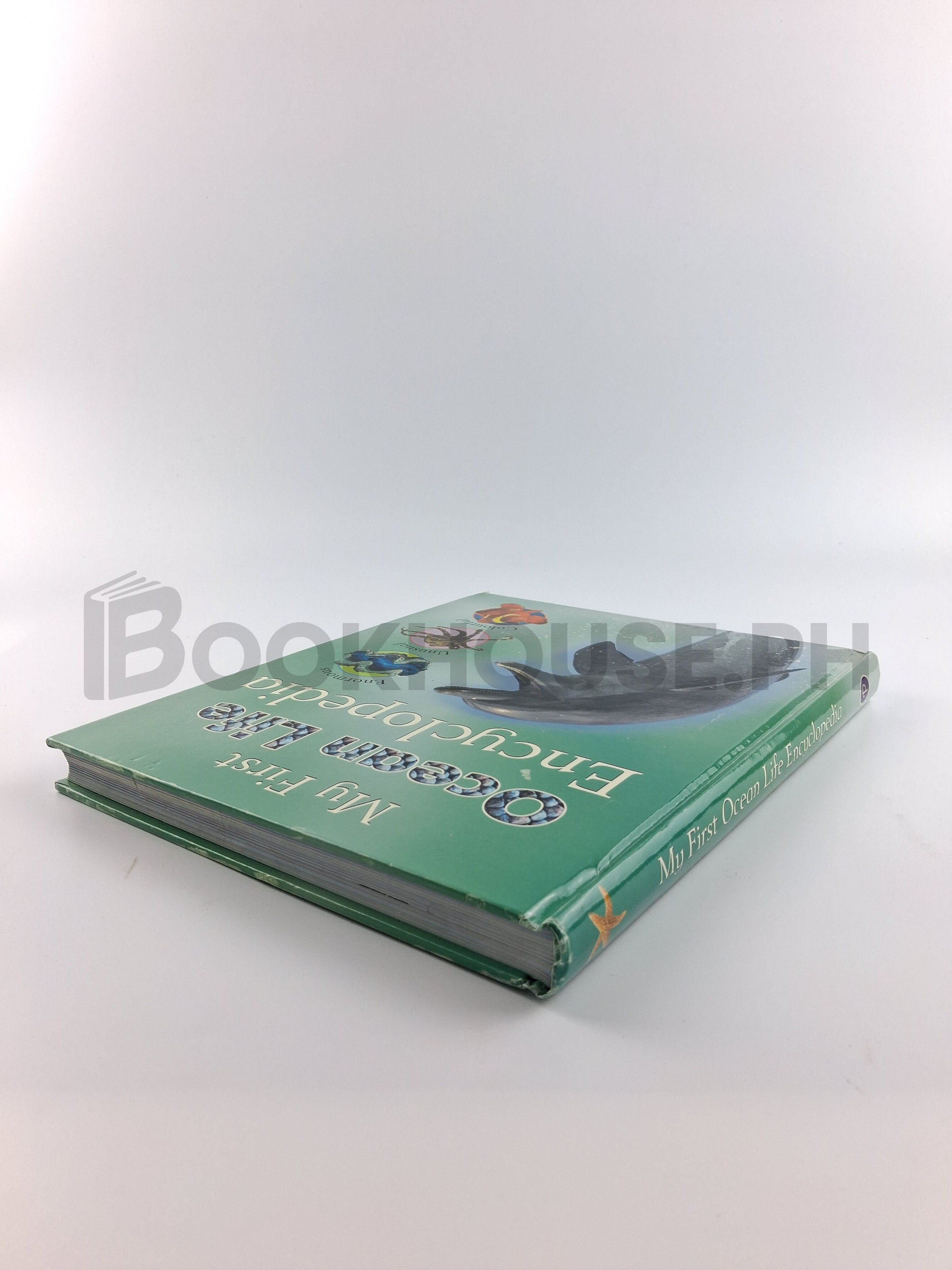 Children's Life Ocean Life Encyclopedia by Parragon Book Service Limited, Sally Morgan - Image 2