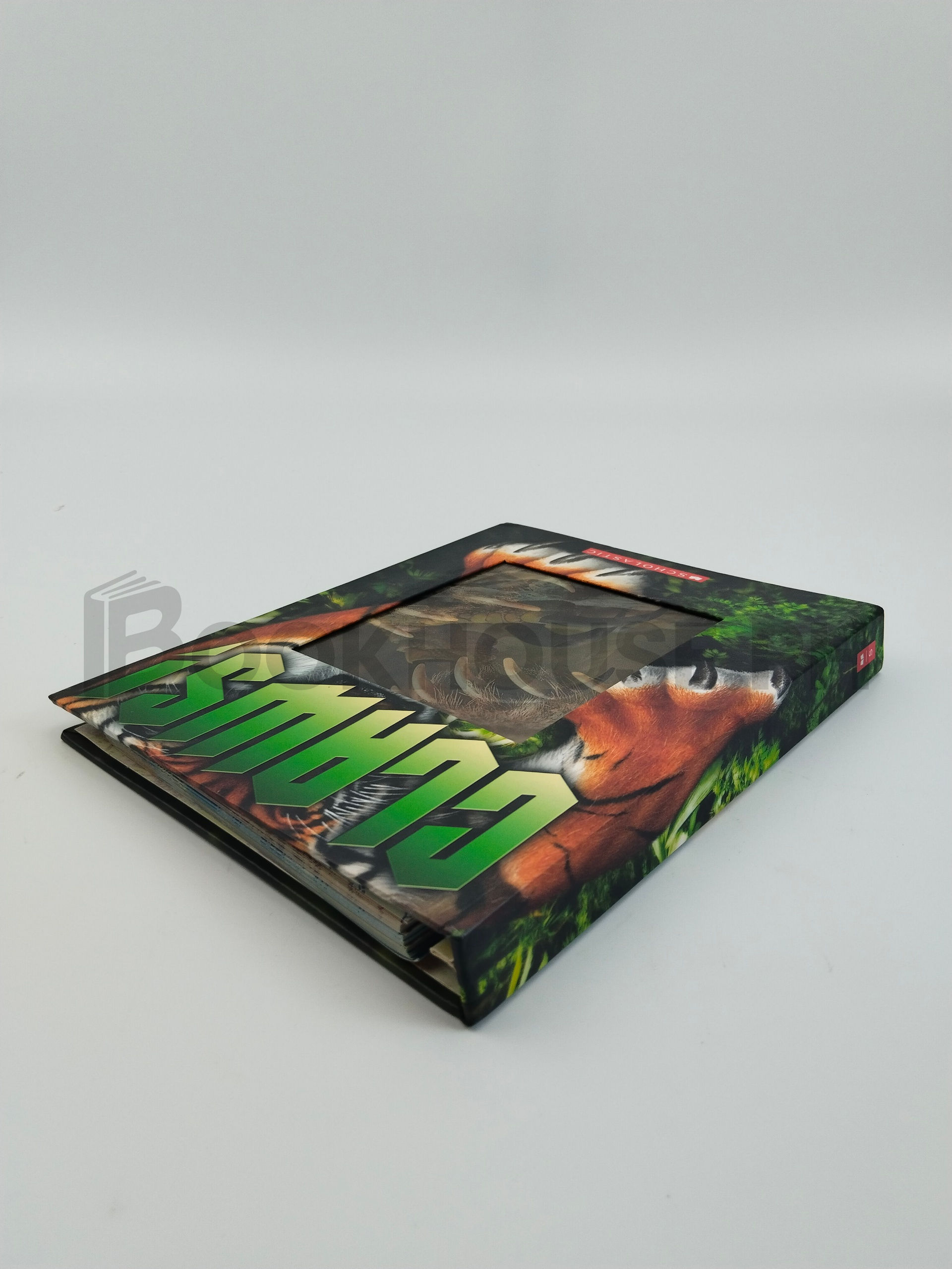 Claws! by Tammi J. Salzano - Image 2