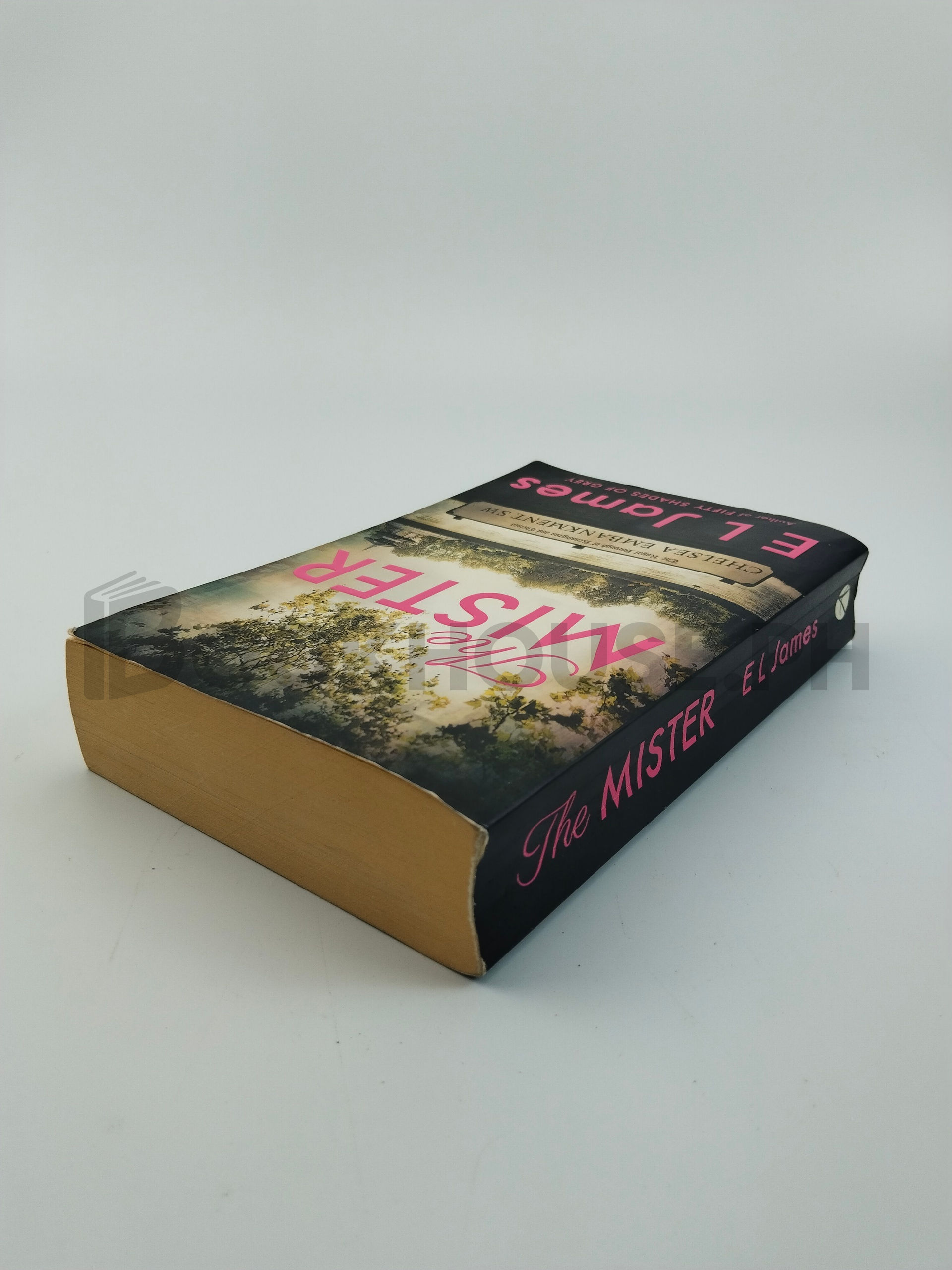 The Mister by E. L. James - Image 2