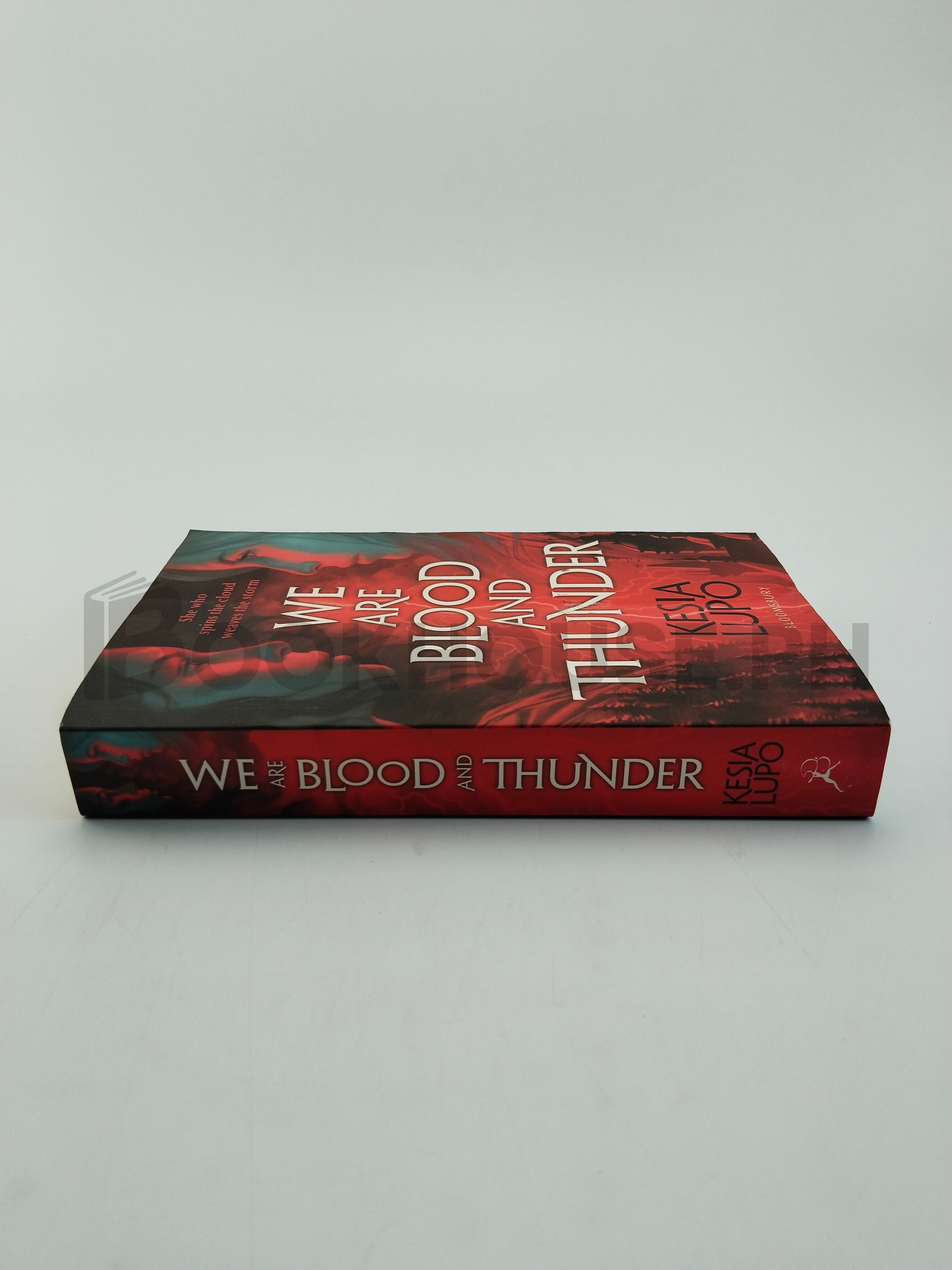 We Are Blood And Thunder by Kesia Lupo - Image 3