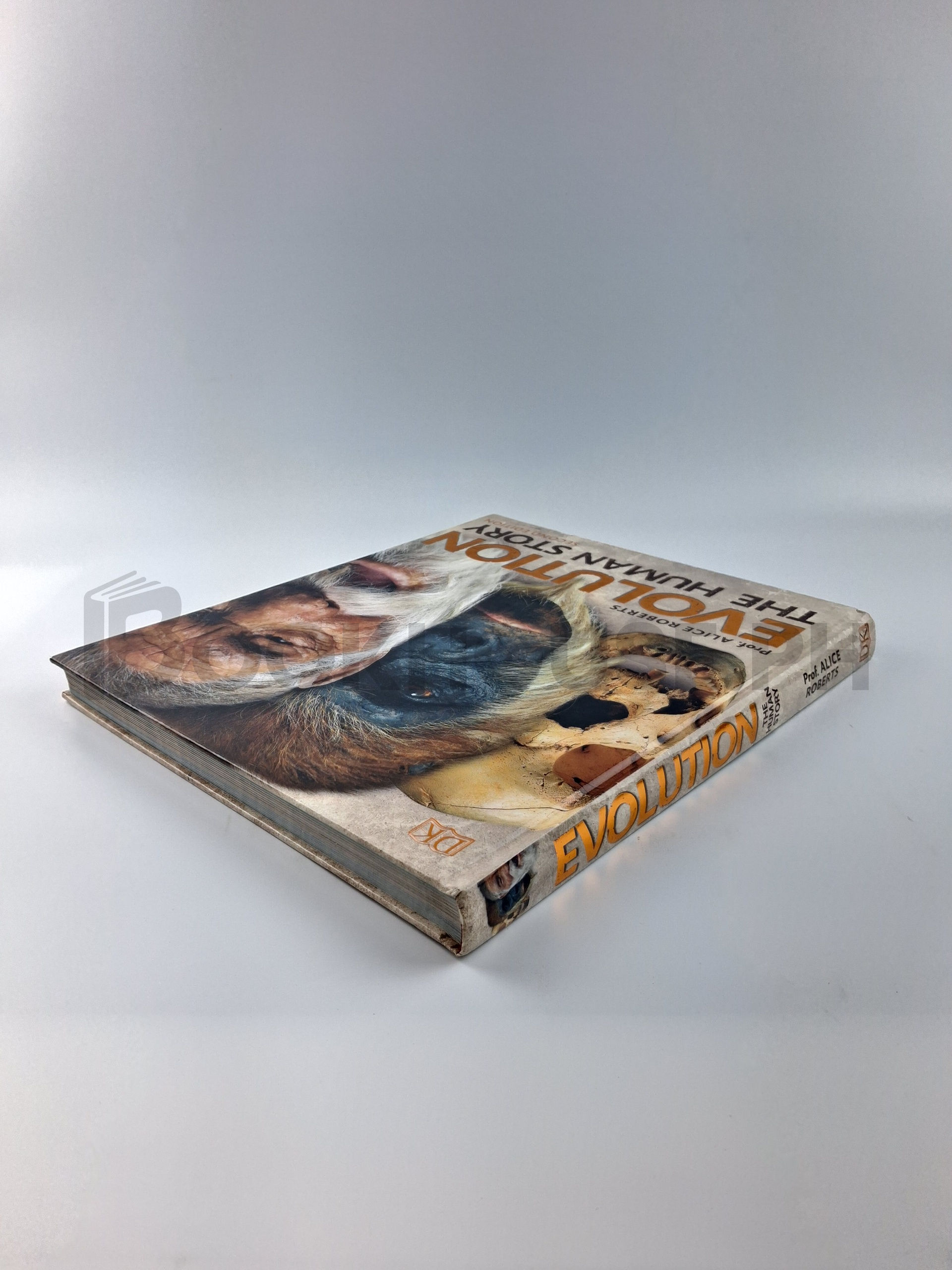 Evolution by Alice Roberts - Image 2