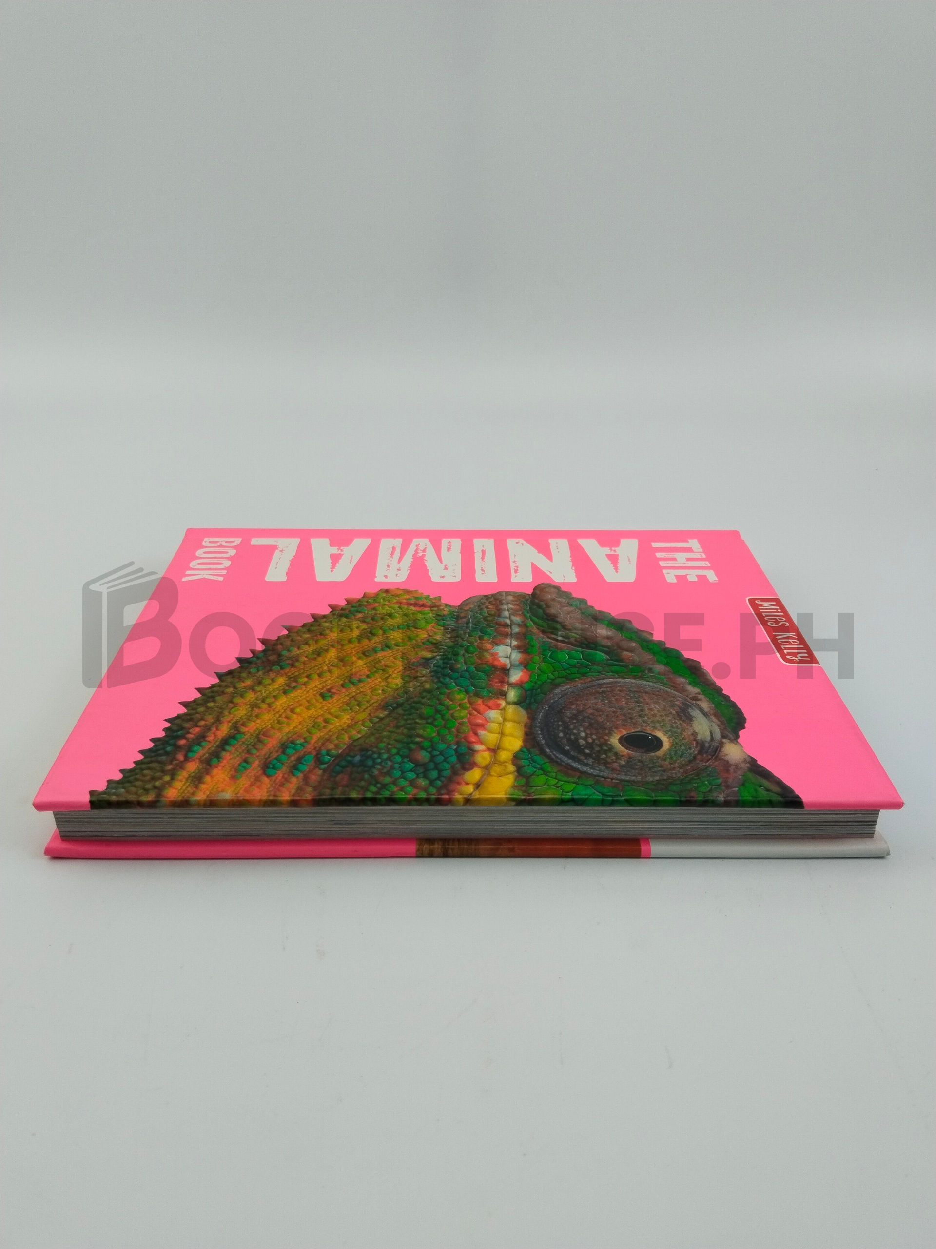 The Animal Book by Camilla De La Bédoyère, Steve Parker, John Farndon - Image 4