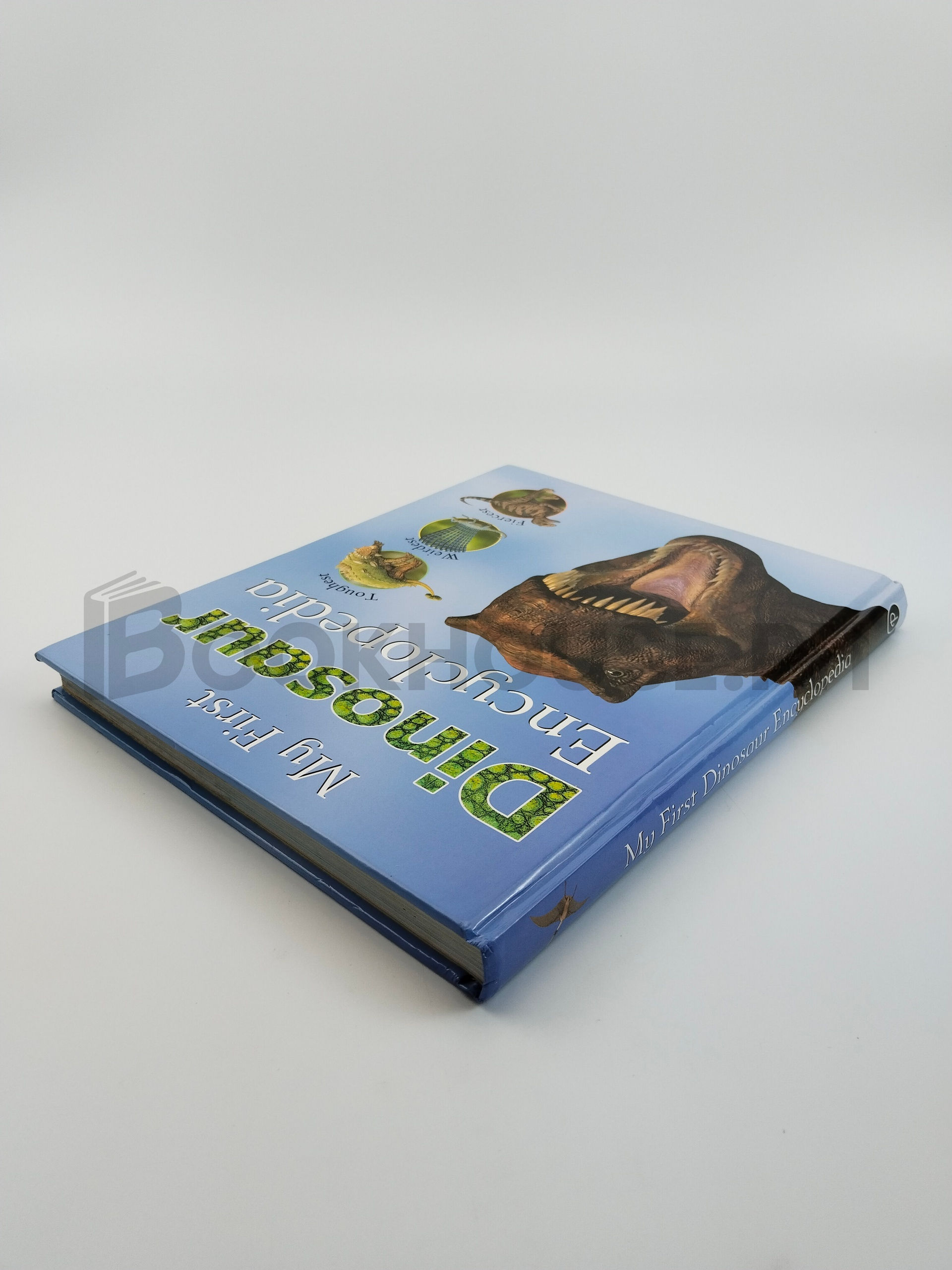 My First Dinosaur Encyclopedia by John Malam, Parragon Book Service Limited, Steve Parker - Image 2