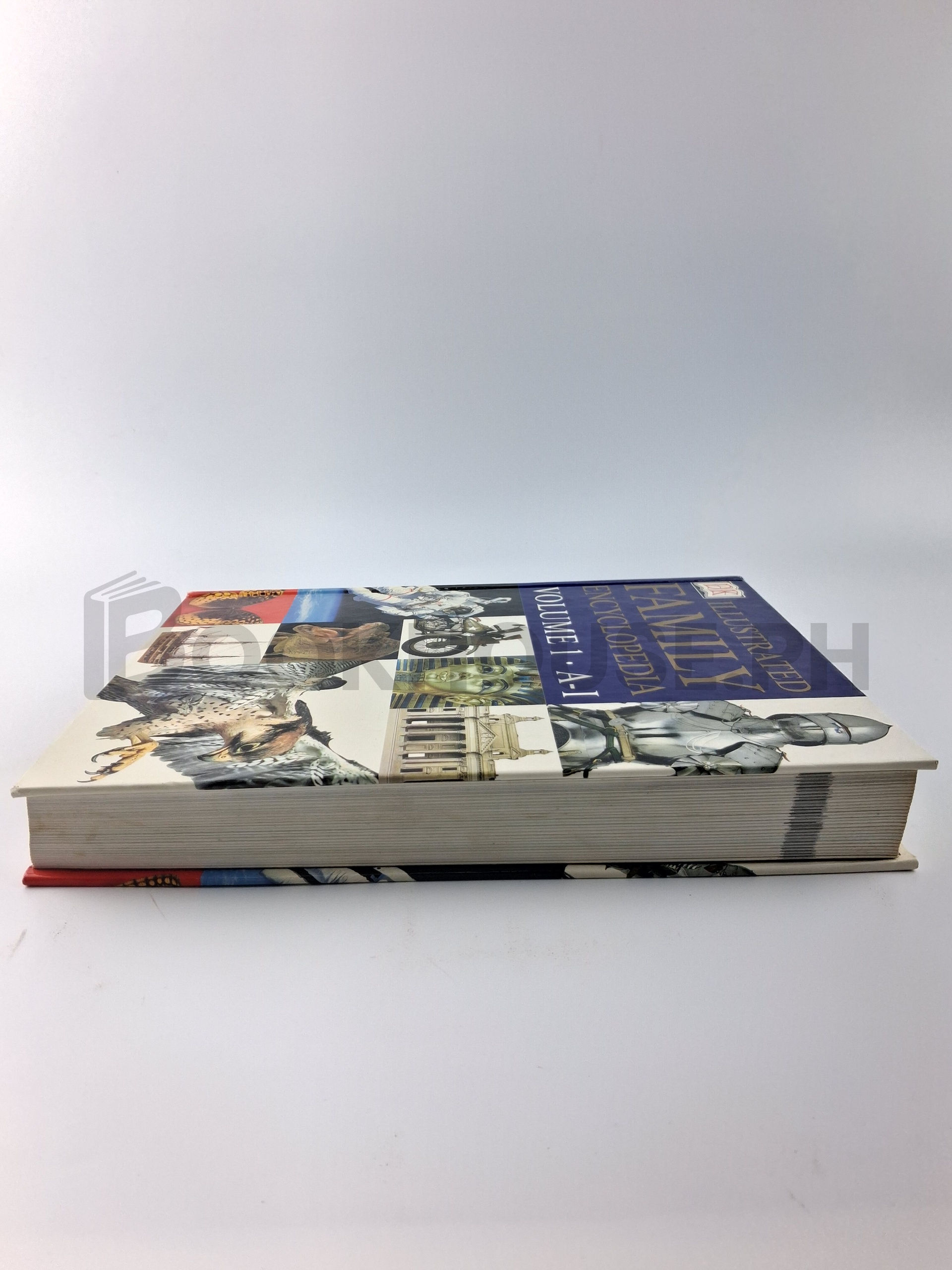 Illustrated Family Encyclopedia  ( Vol.1 • A - I ) by Dorling Kindersley - Image 4