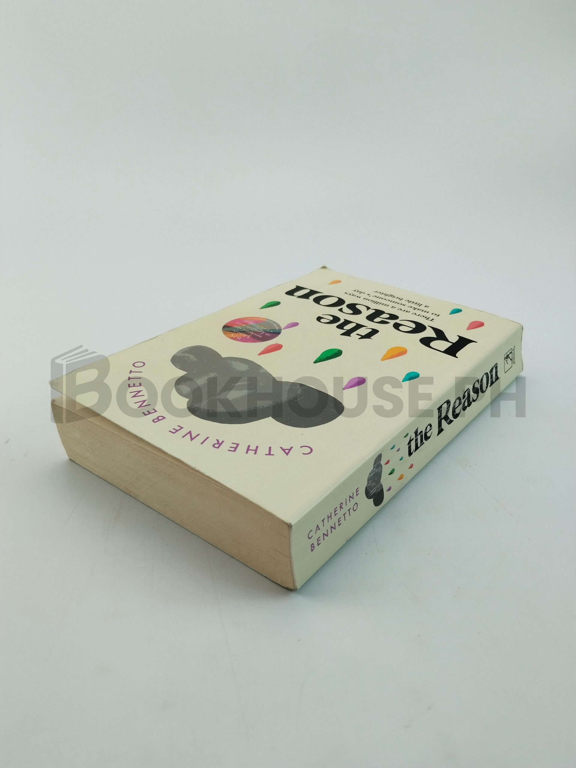 The Reason by Catherine Bennetto - Image 2