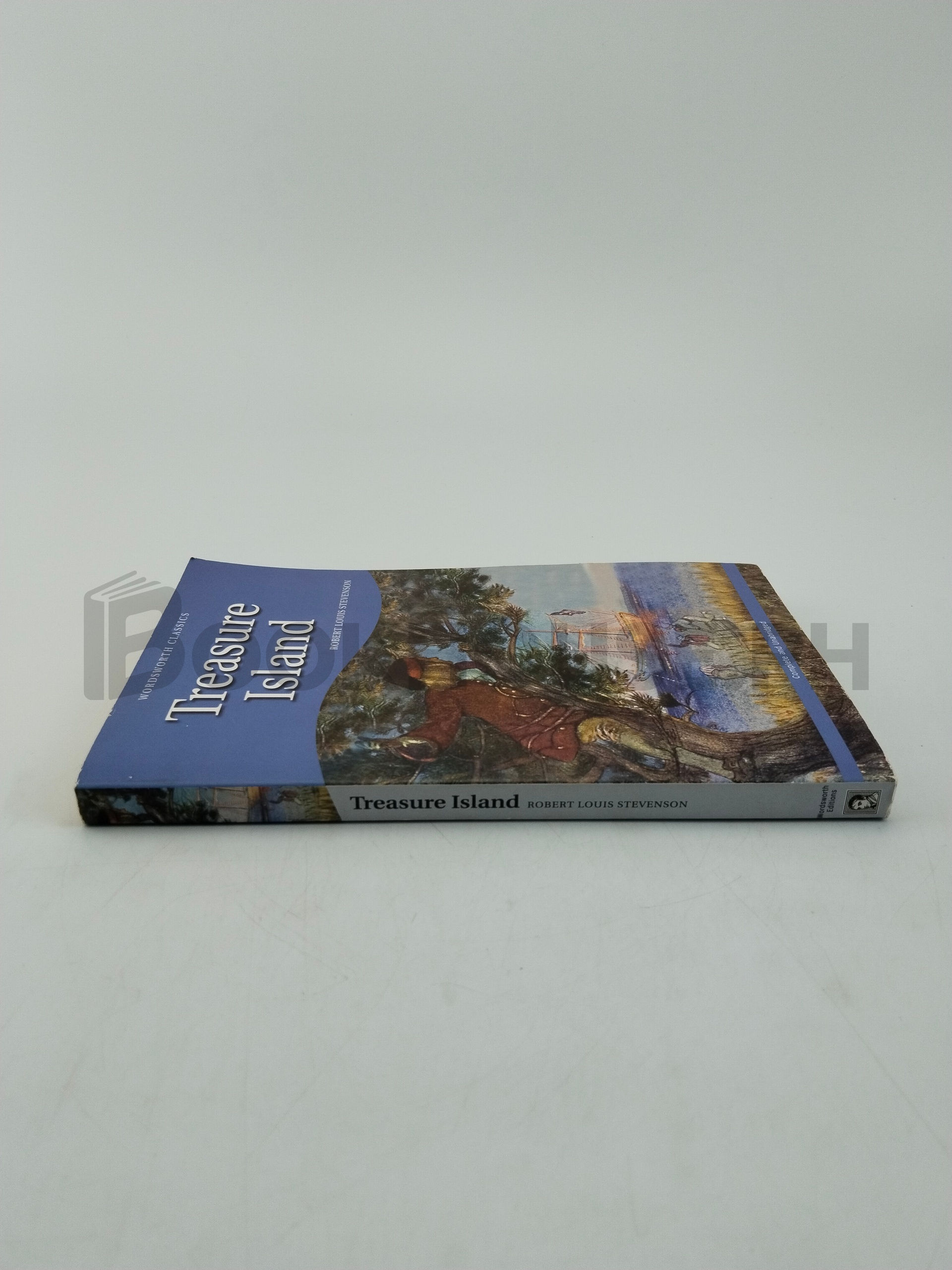 Treasure Island by Robert Louis Stevenson - Image 3