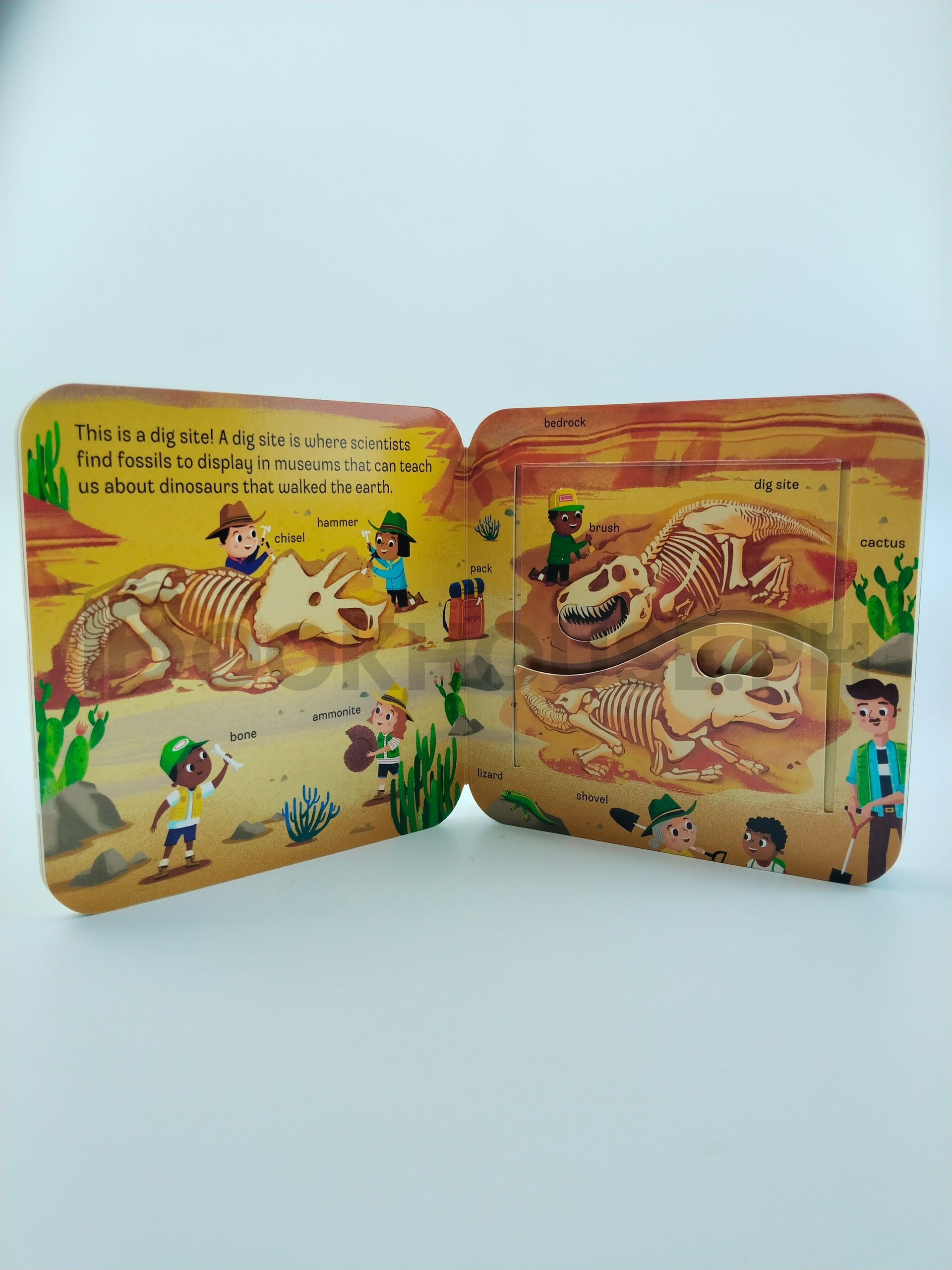 Dinosaur Peek A Flap Children's Board Book by Jaye Garnett - Image 5