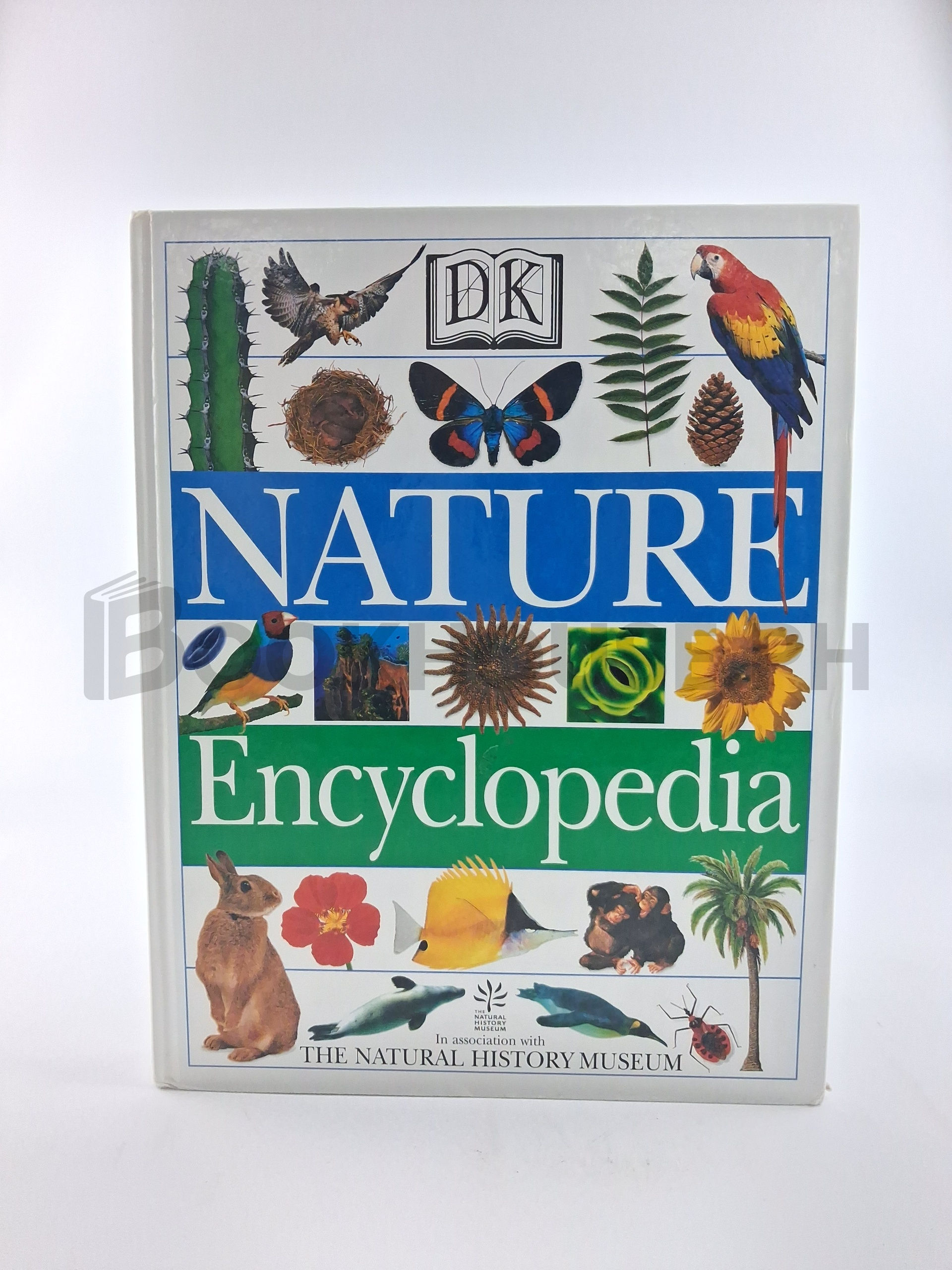 Nature Encyclopedia by Dorling Kindersley