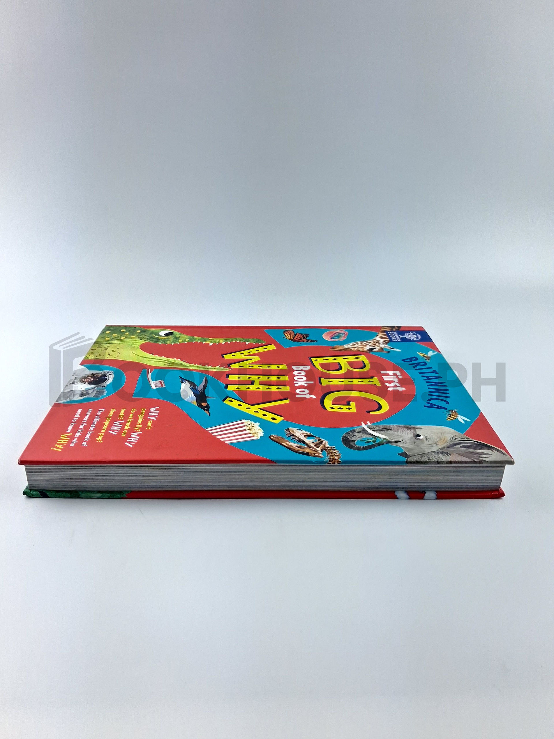 Britannica First Big Book Of Why by Sally Symes, Stephanie Drimmer, Britannica Group - Image 4