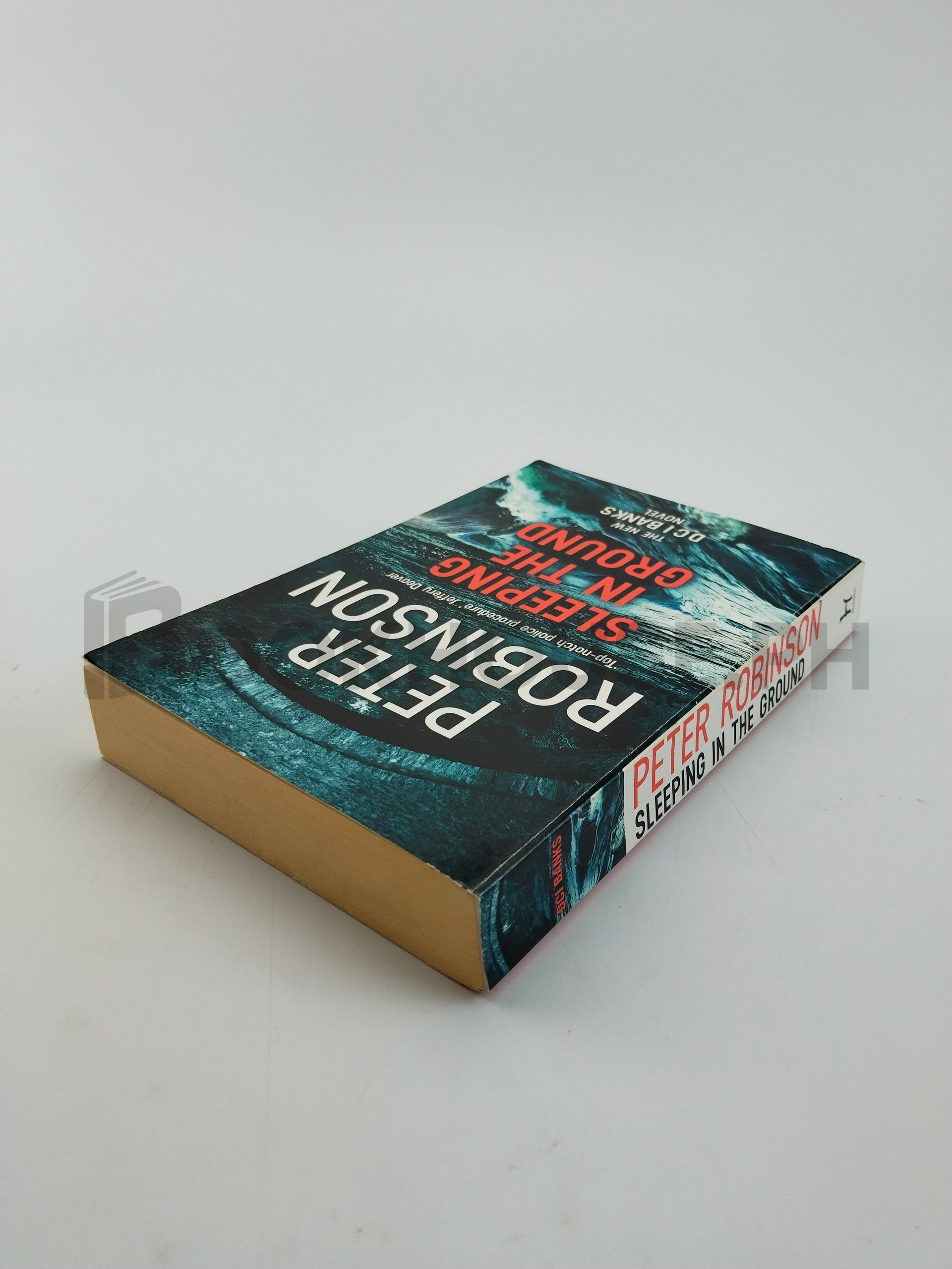 Sleeping In The Ground by Peter Robinson - Image 2