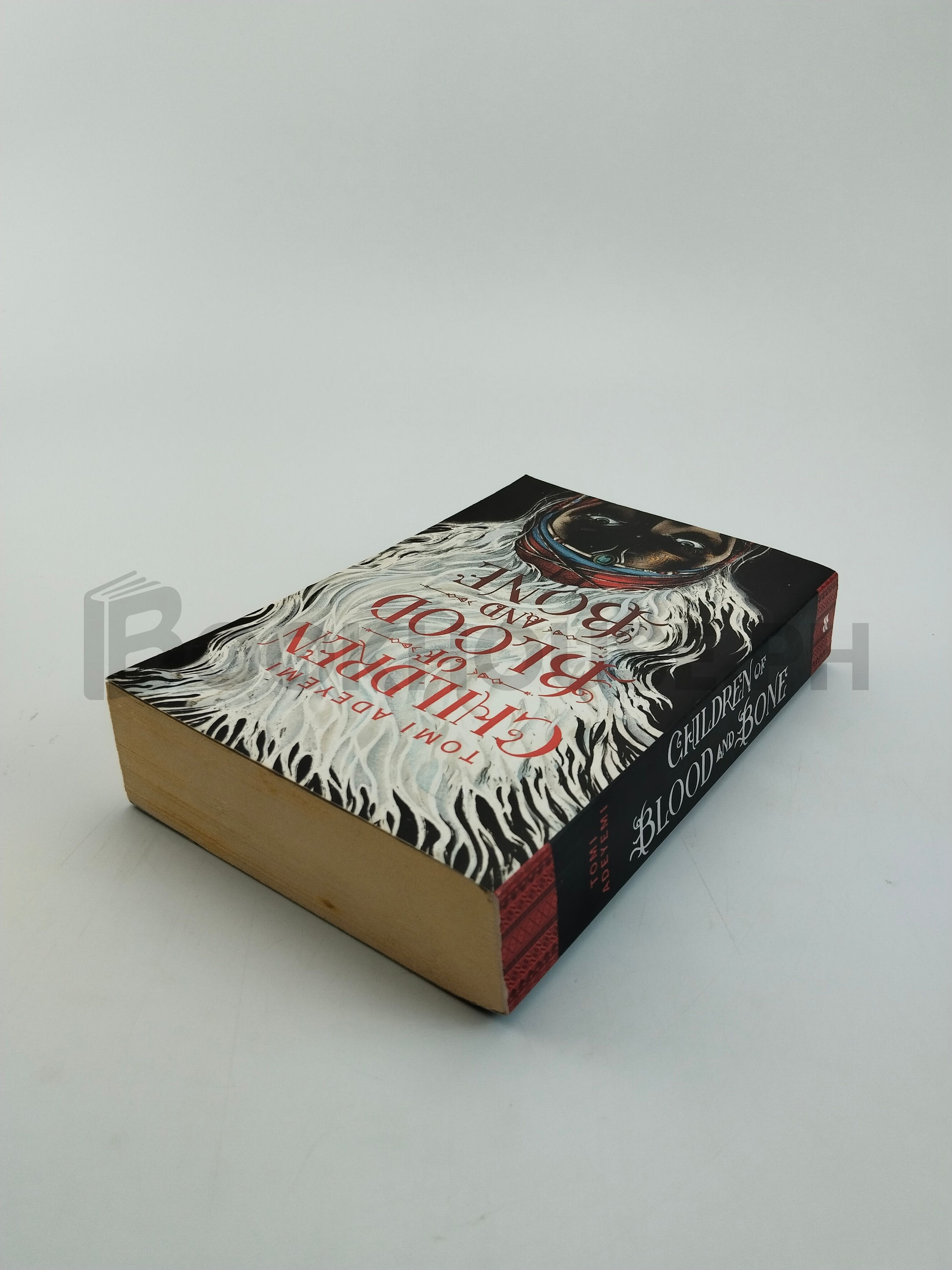 Children Of Blood And Bone by Tomi Adeyemi - Image 2