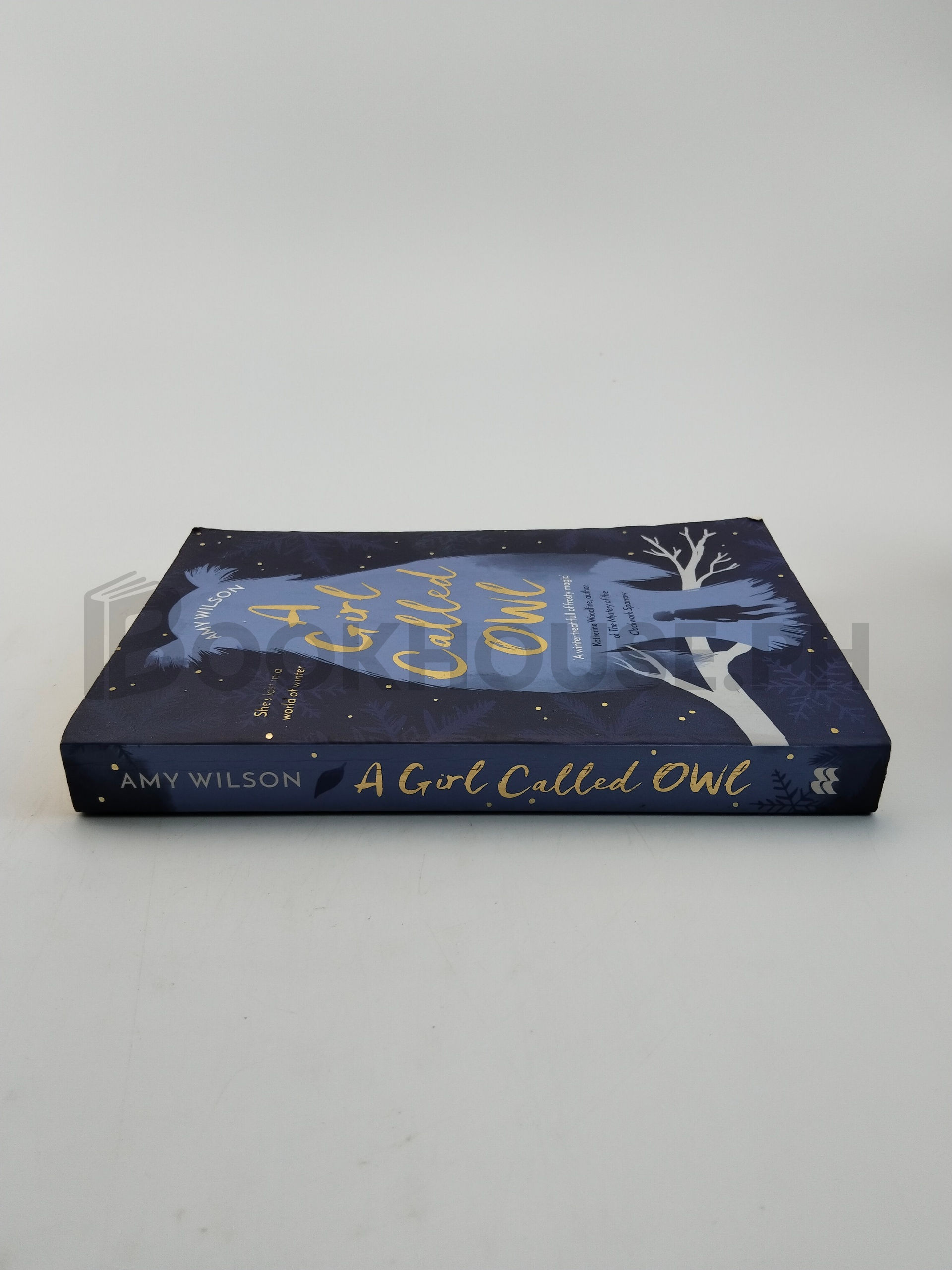 A Girl Called Owl by Amy Wilson - Image 3