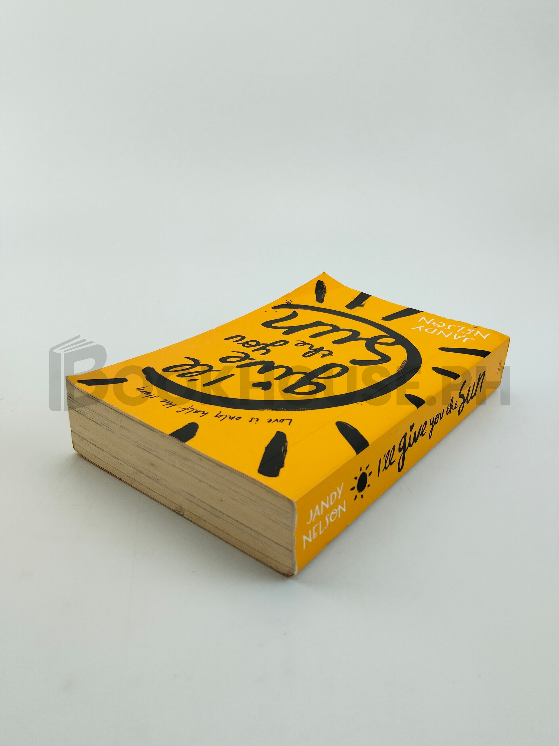 I'll Give You The Sun by Jandy Nelson - Image 2