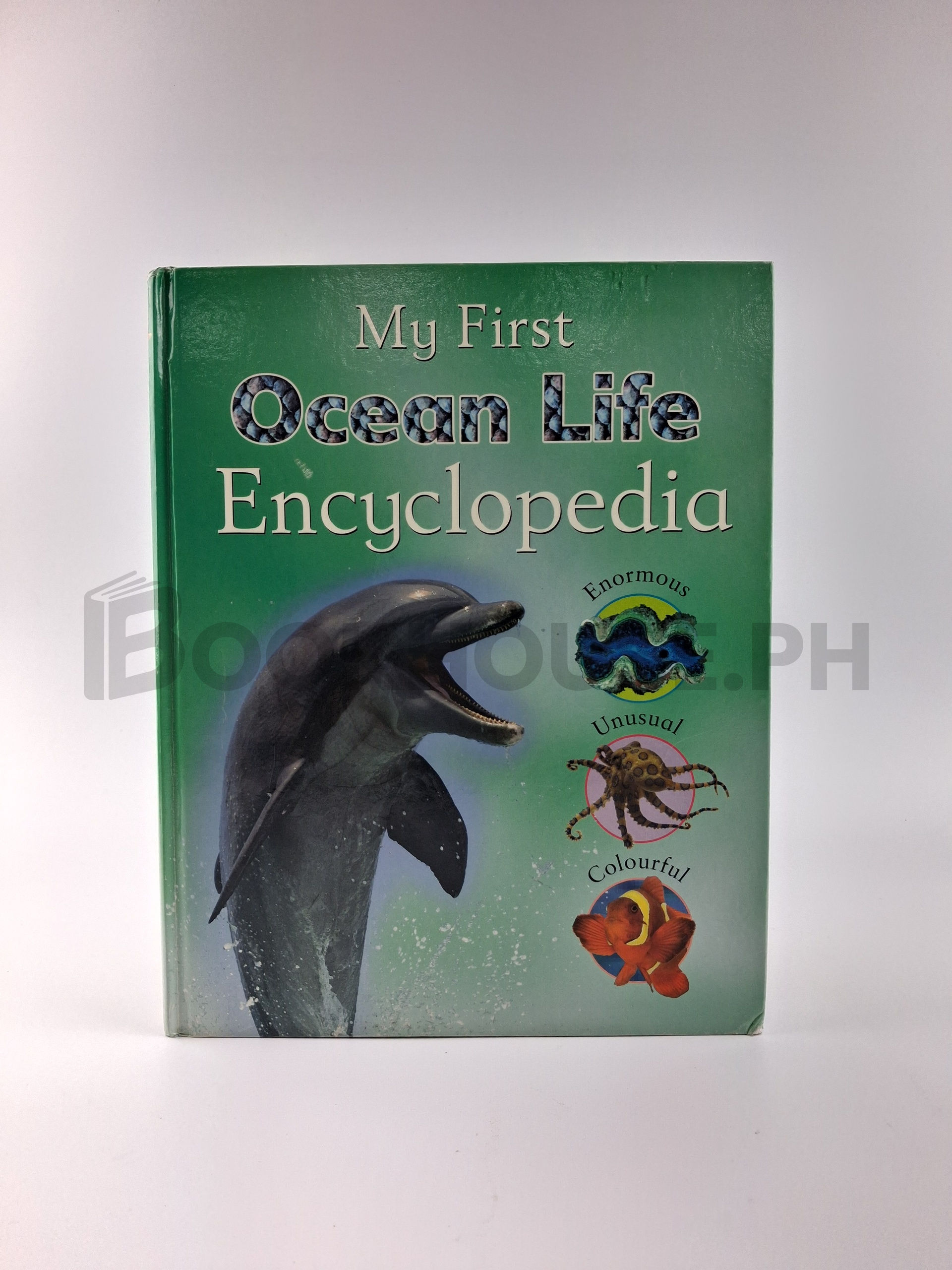 Children's Life Ocean Life Encyclopedia by Parragon Book Service Limited, Sally Morgan