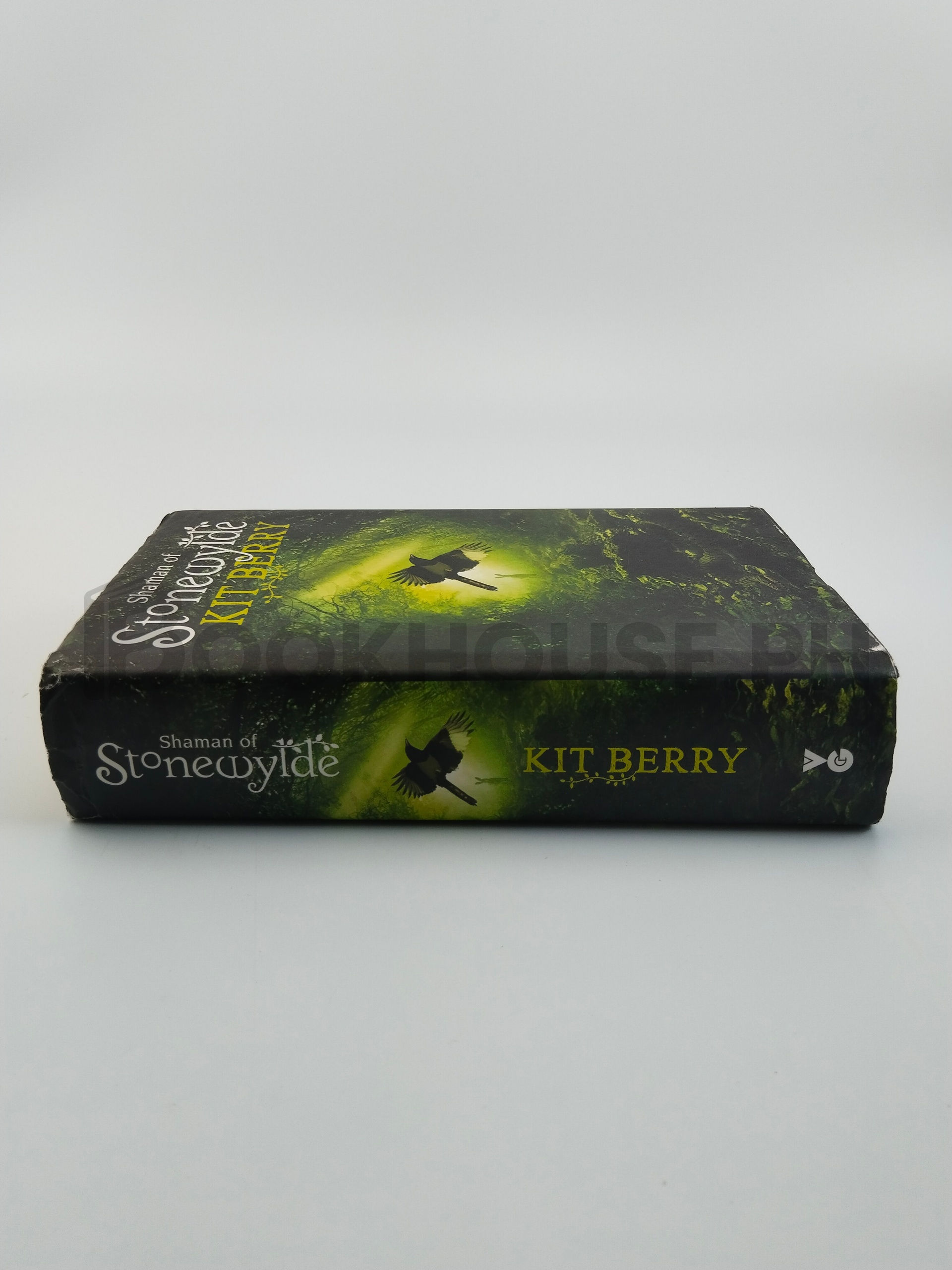 Shaman Of Stonewylde by Kit Berry - Image 3