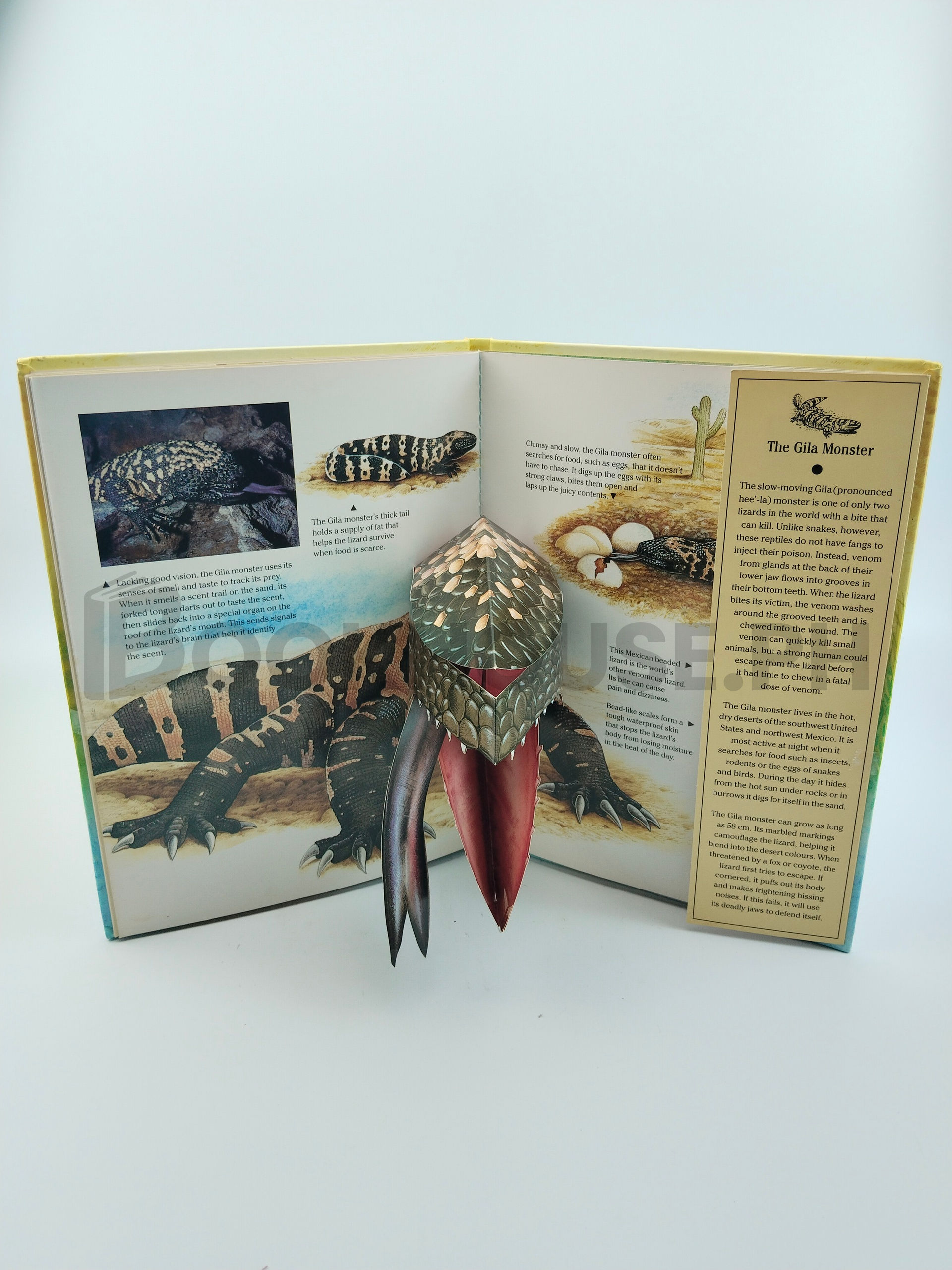 Nature's Deadly Creatures by Frances Jones - Image 5