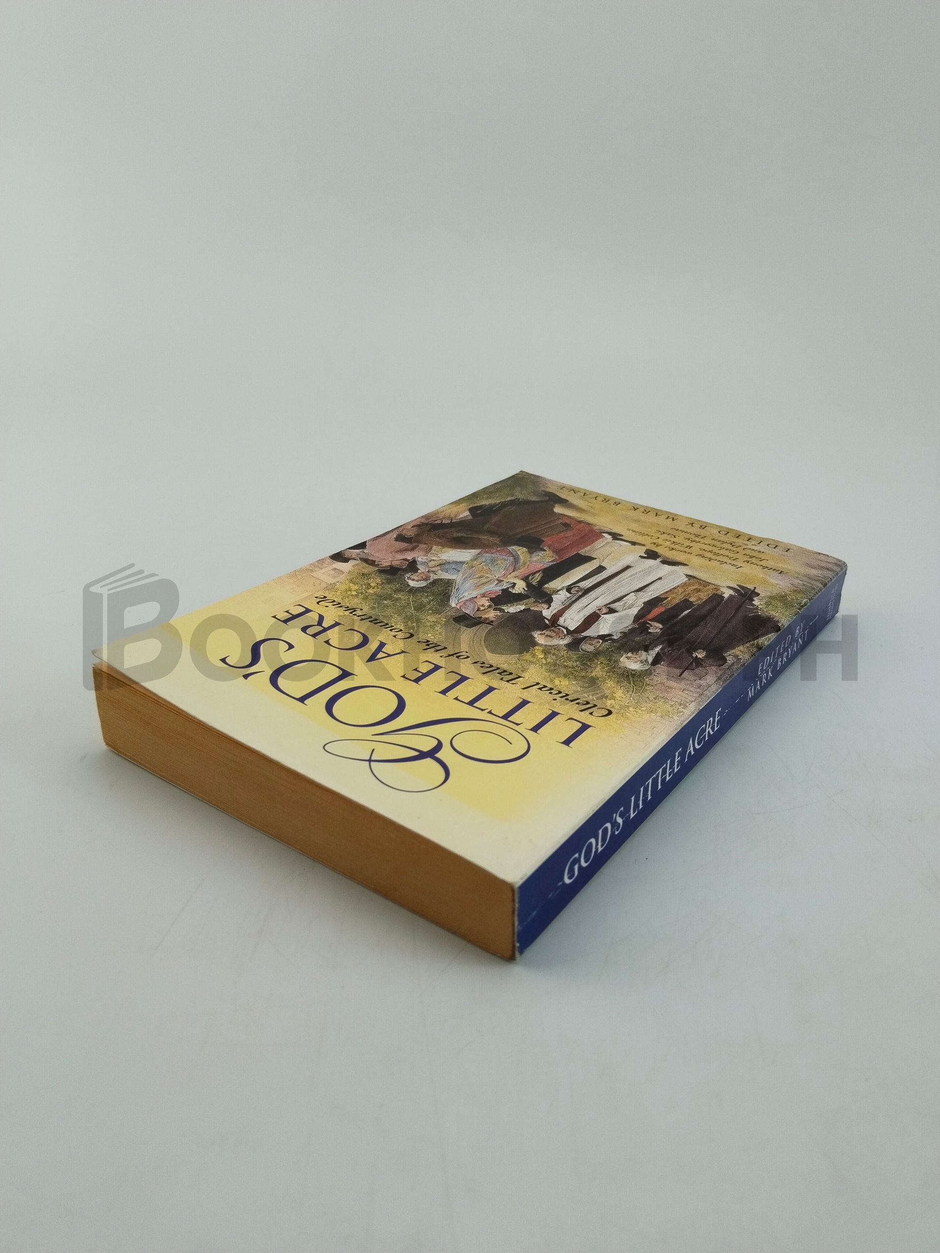 God's Little Acre by Mark Bryant - Image 2