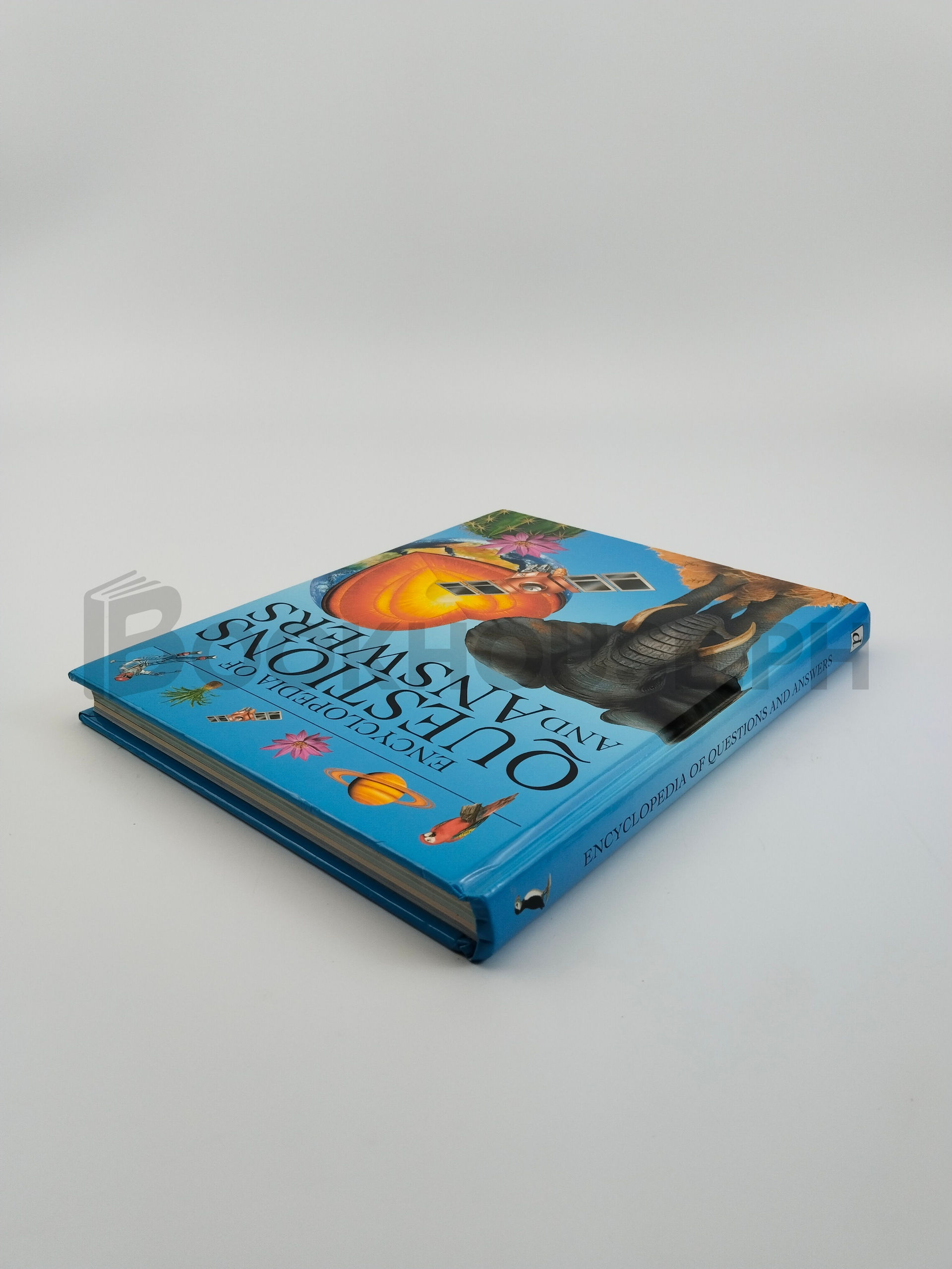 Encyclopedia Of Questions And Answers by Parragon Book Service Limited - Image 2