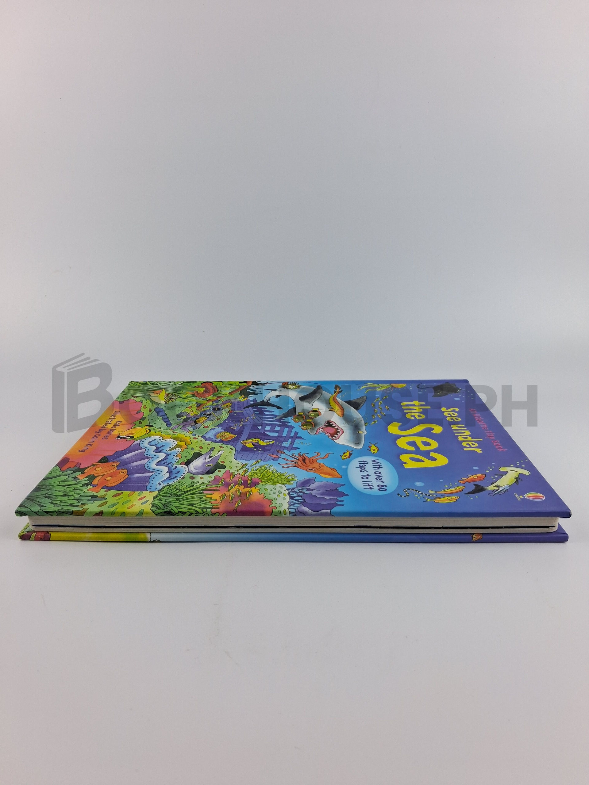 See Under The Sea by Katie Daynes, Colin King - Image 4