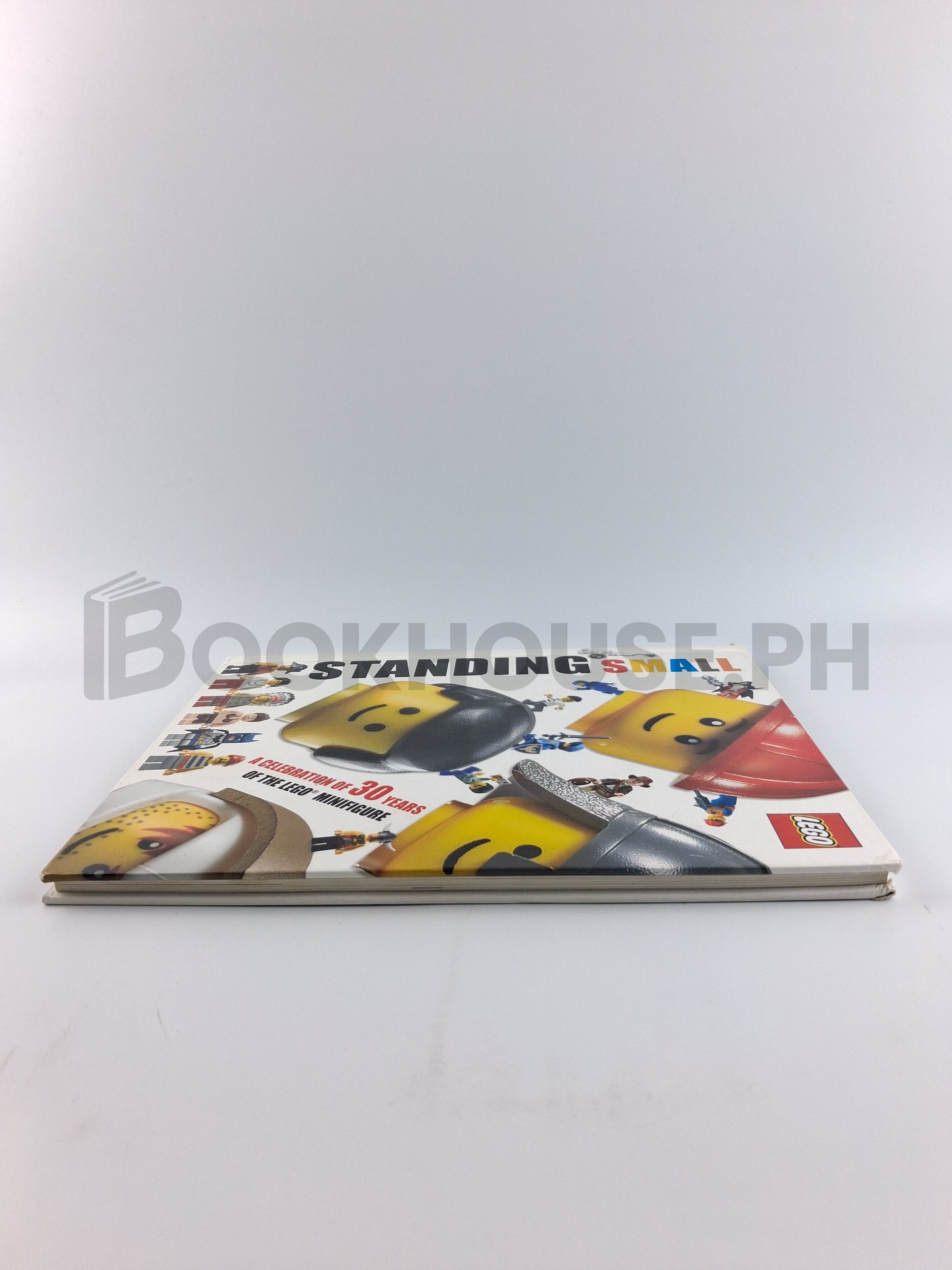 Standing Small by Nevin Martell - Image 4