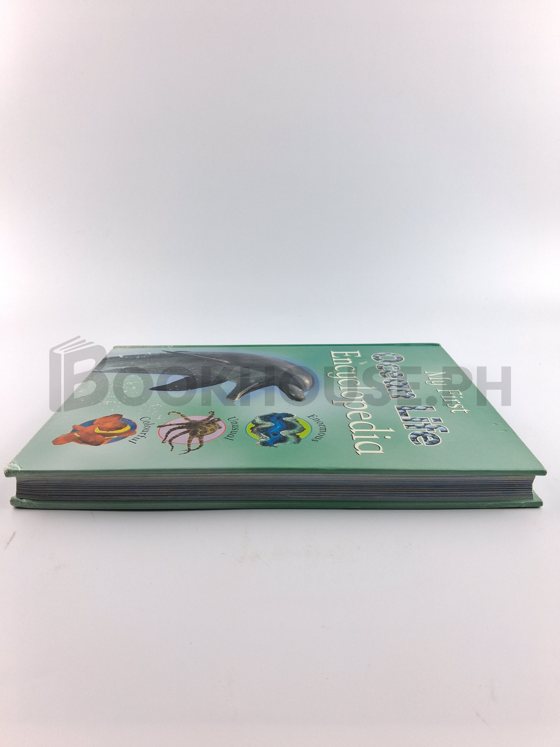 Children's Life Ocean Life Encyclopedia by Parragon Book Service Limited, Sally Morgan - Image 4