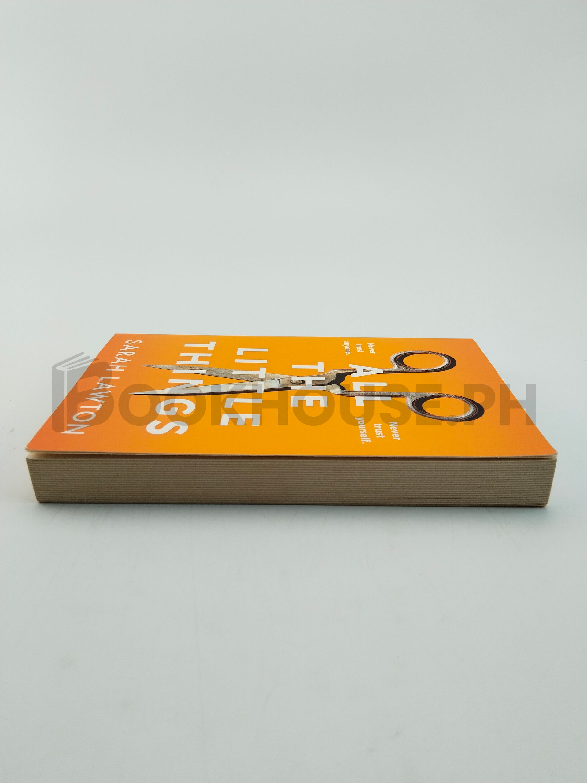 All The Little Things by Sarah Lawton - Image 4