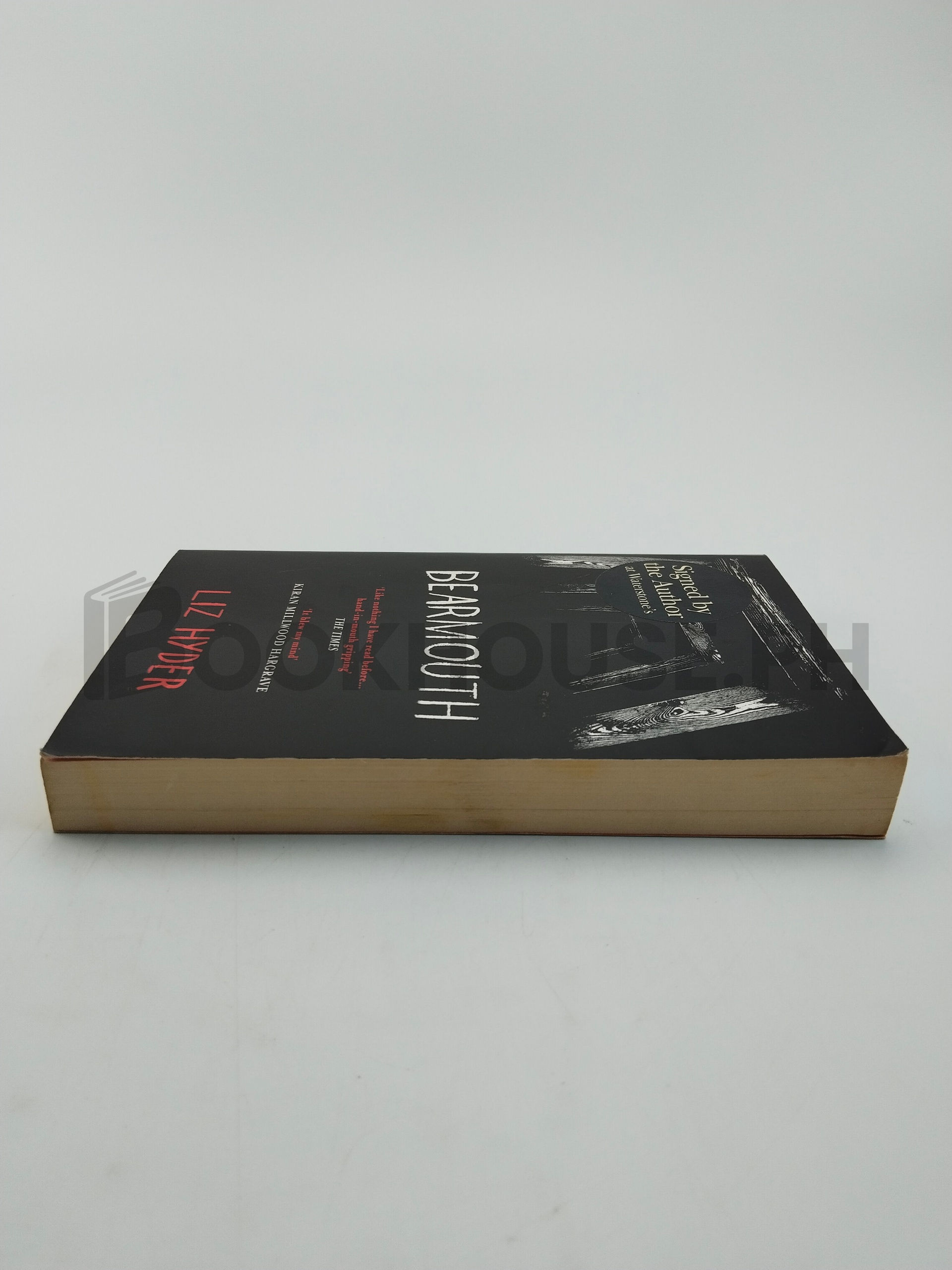 Bearmouth by Liz Hyder - Image 4