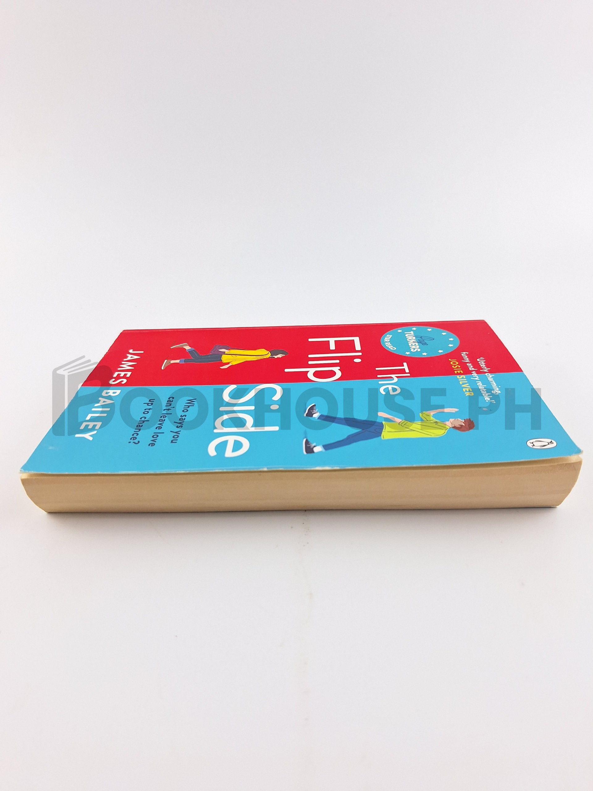 The Flip Side by James Bailey - Image 4