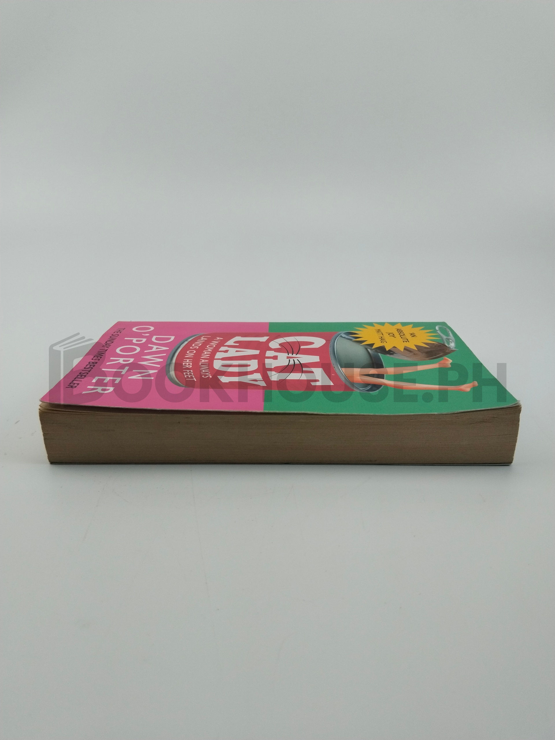 Cat Lady by Dawn O'porter - Image 4