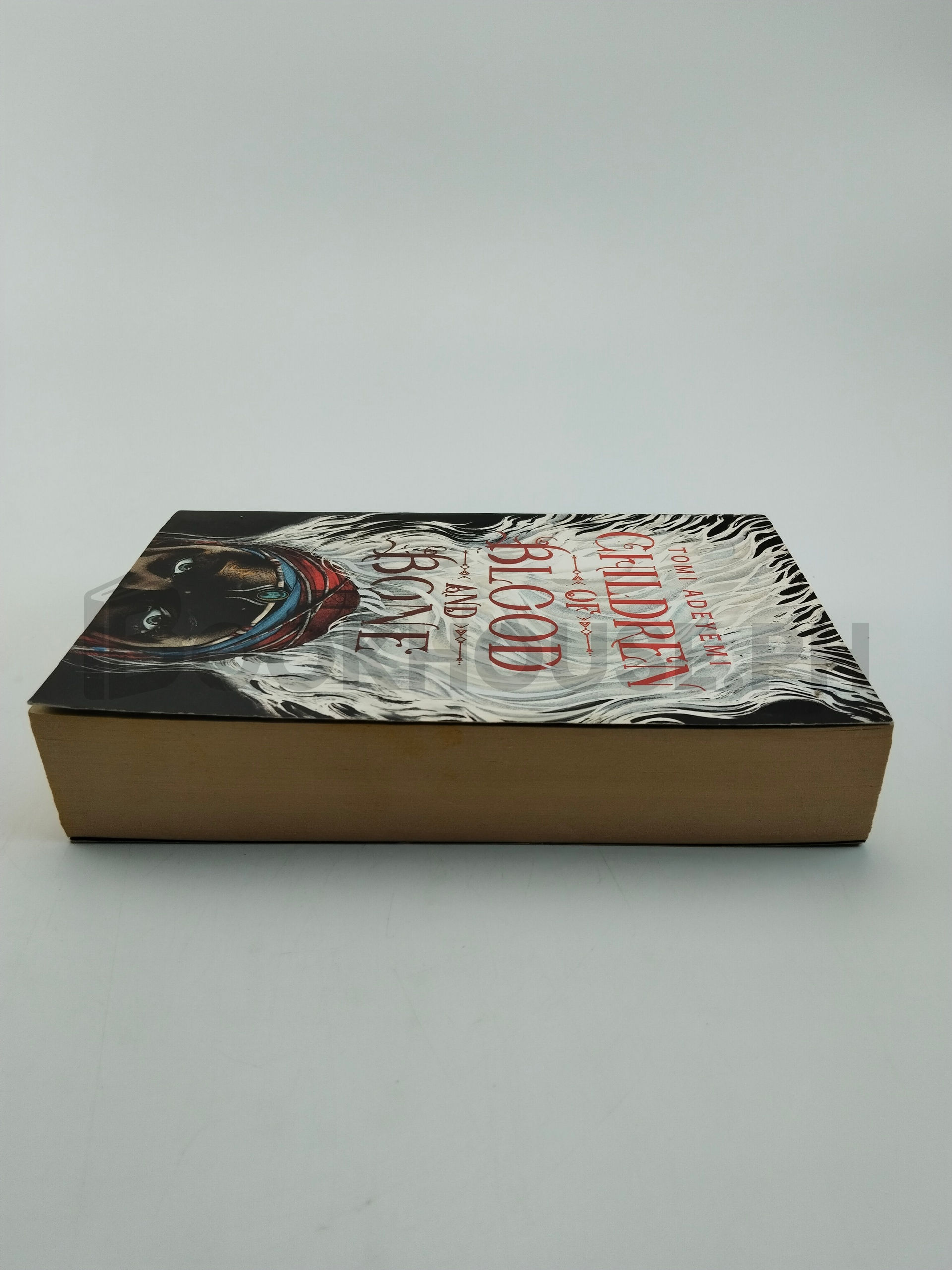 Children Of Blood And Bone by Tomi Adeyemi - Image 4