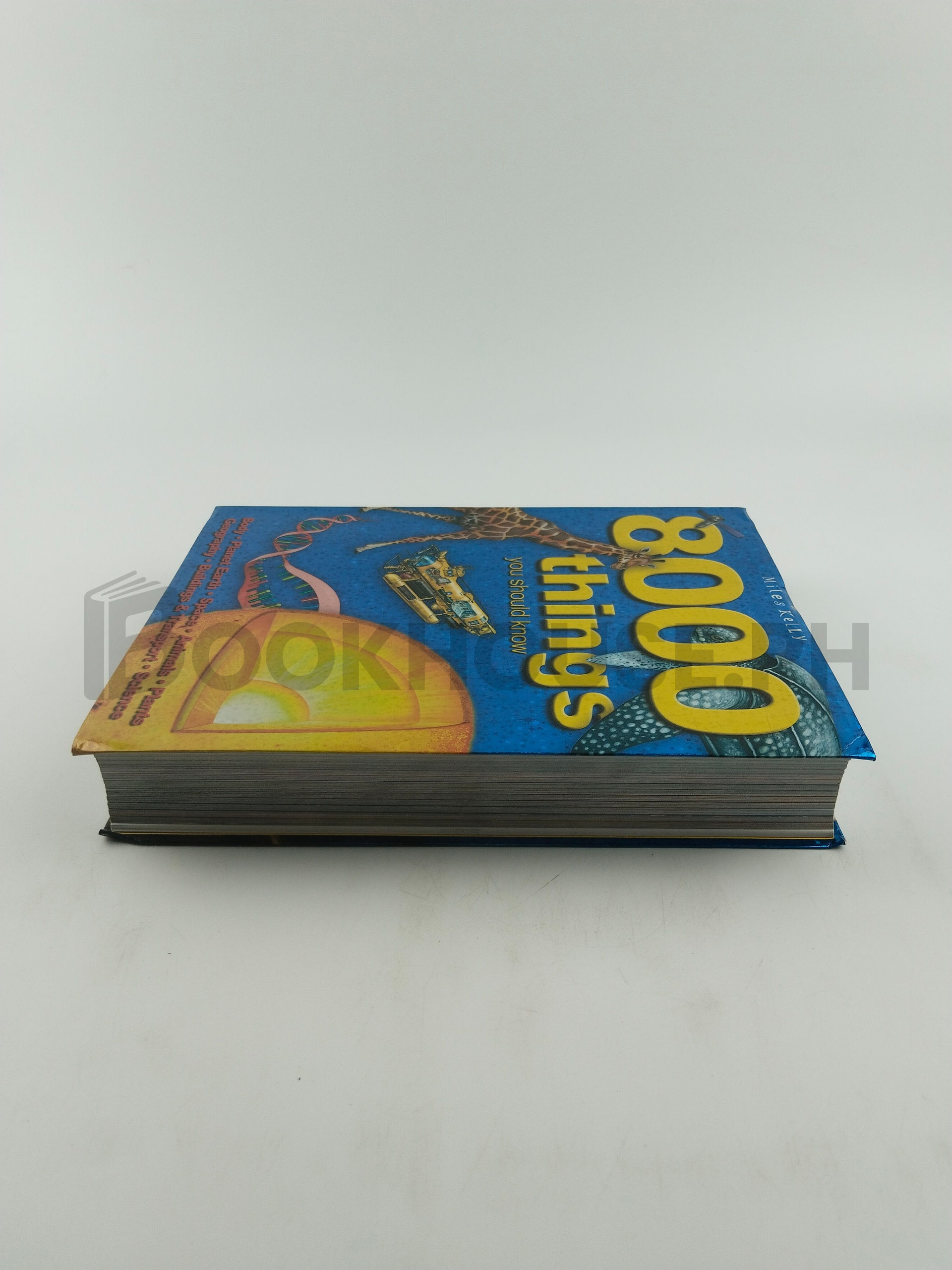 8000 Things You Should Know by Miles Kelly - Image 4