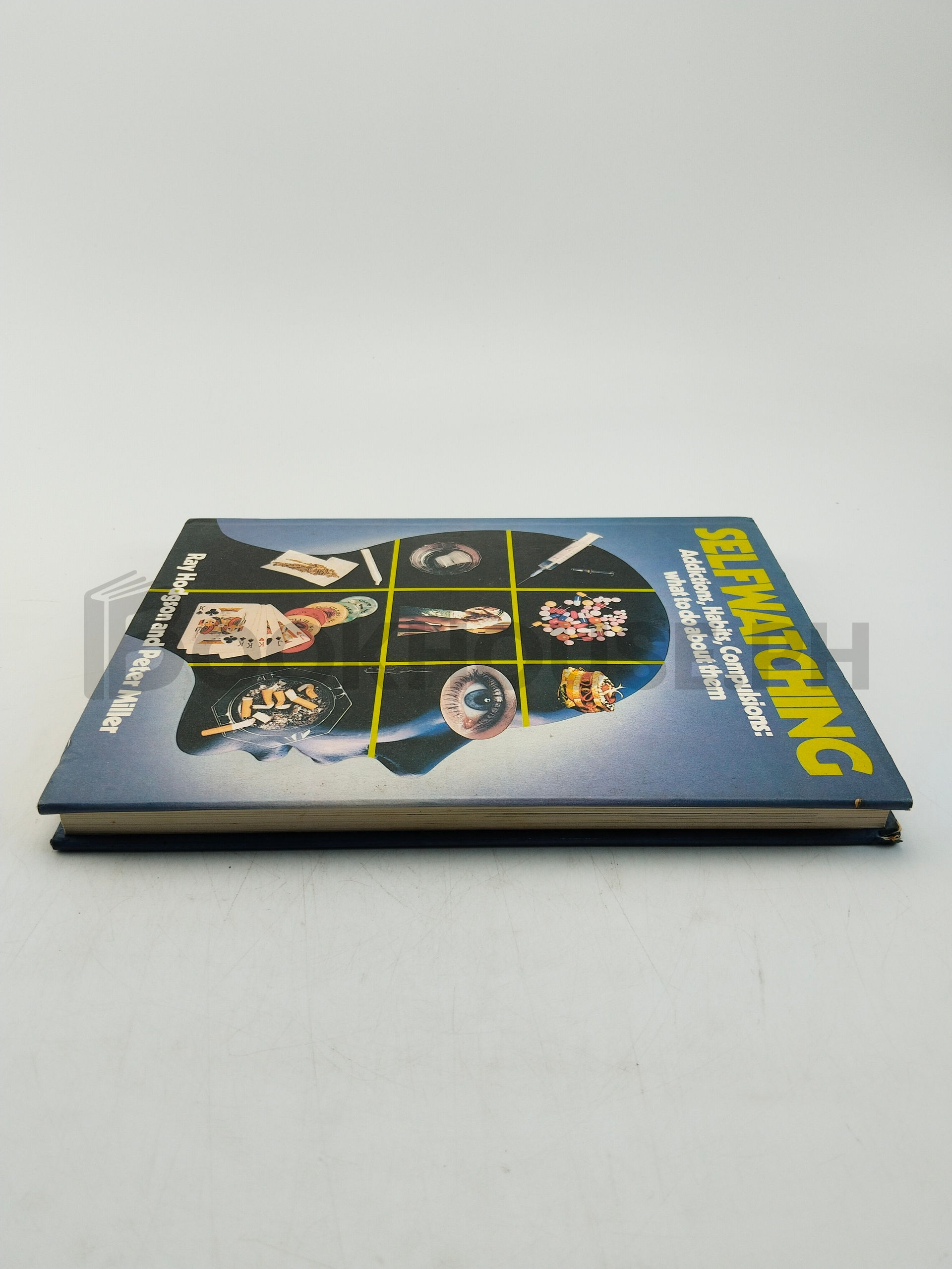 Self Watching by Ray Hodgson And Peter Miller - Image 4