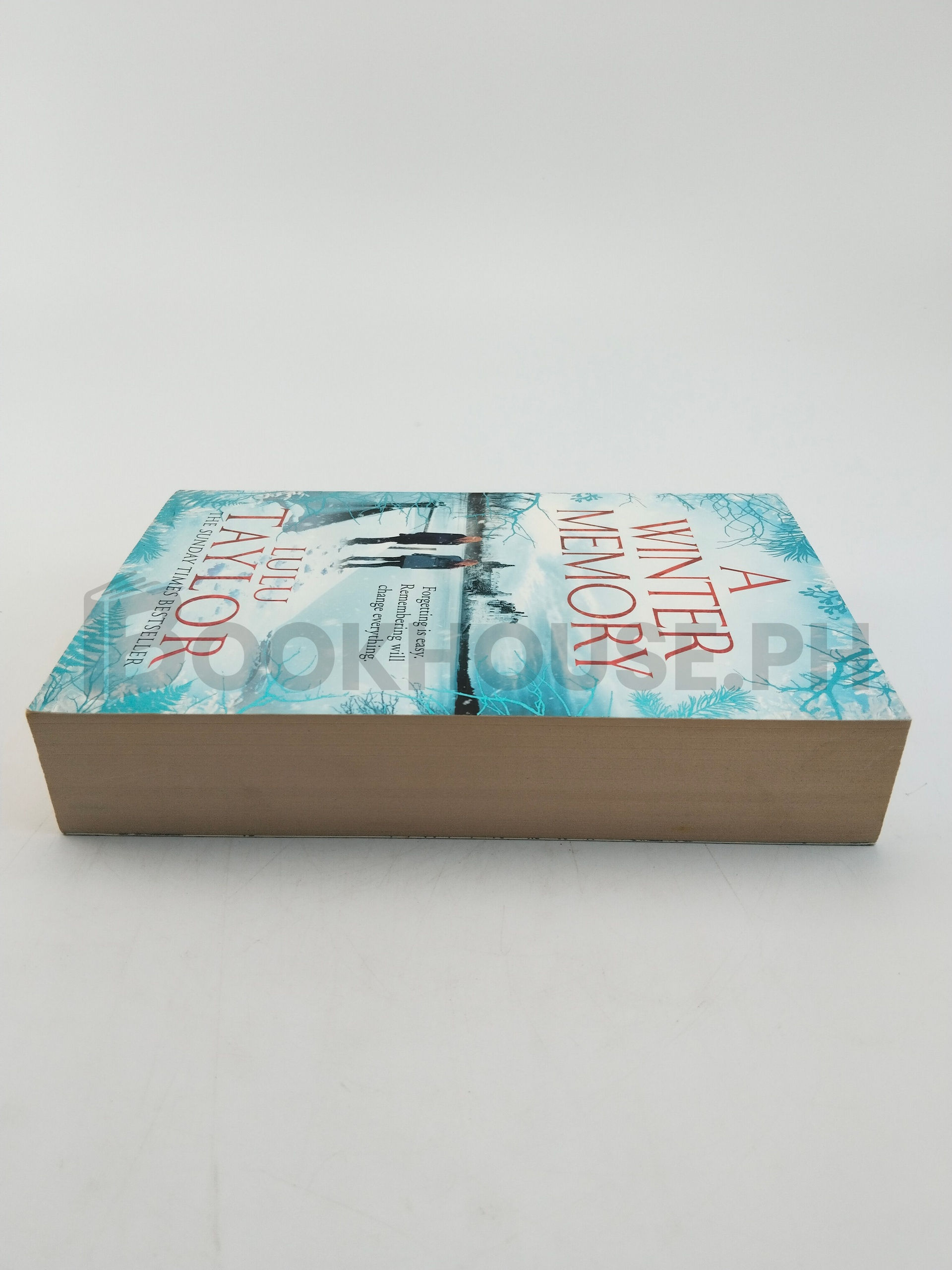 A Winter Memory by Lulu Taylor - Image 4